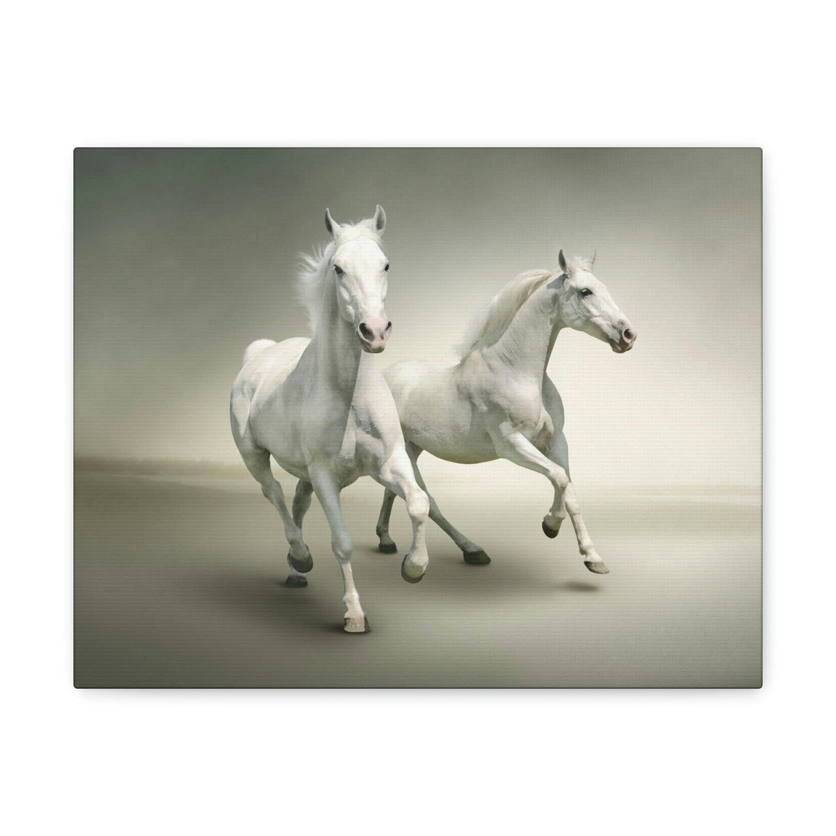 Scripture Walls Couple of White Arab Horse Print Animal Wall Art Wildlife Canvas Prints Wall Art Ready to Hang Unframed-Express Your Love Gifts