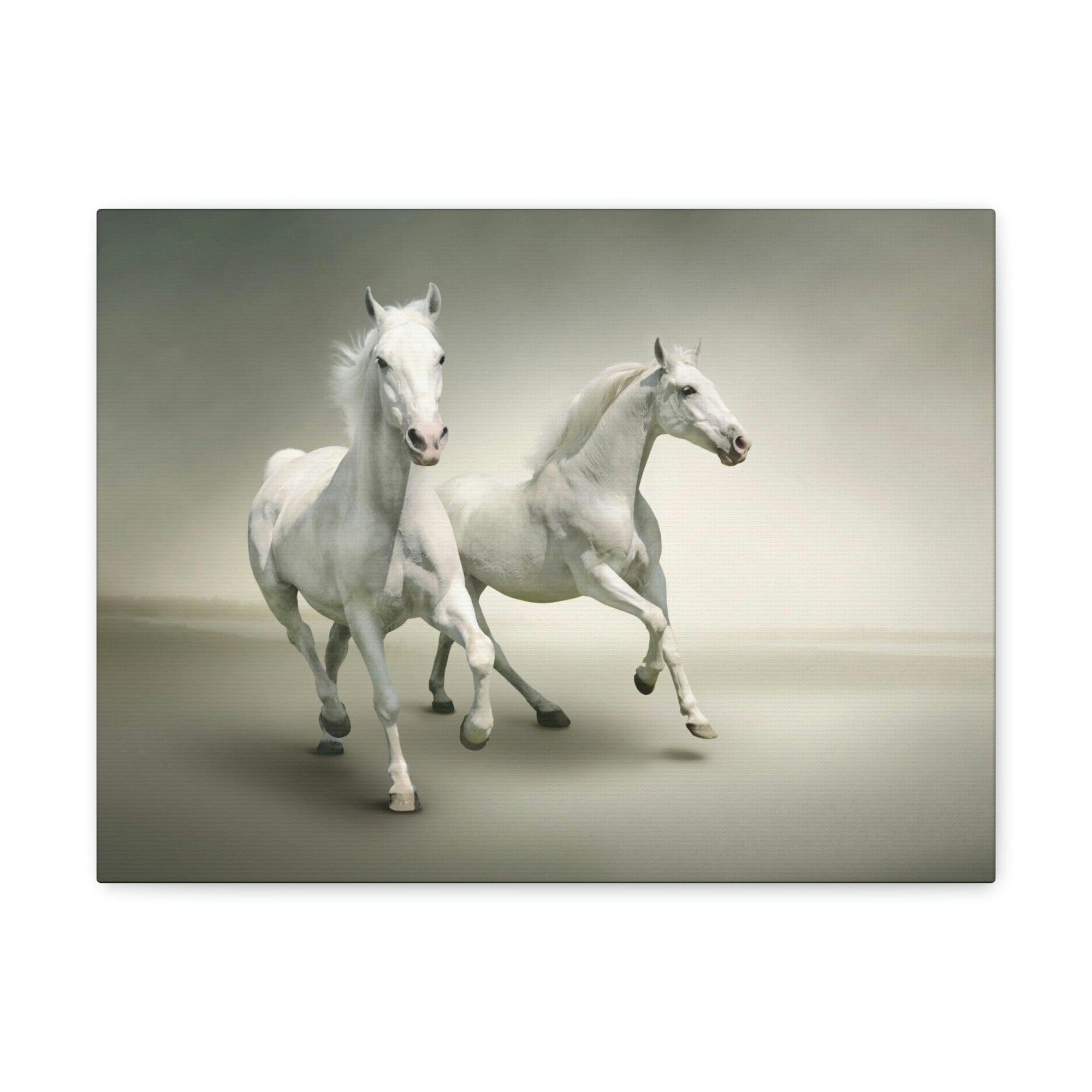 Scripture Walls Couple of White Arab Horse Print Animal Wall Art Wildlife Canvas Prints Wall Art Ready to Hang Unframed-Express Your Love Gifts