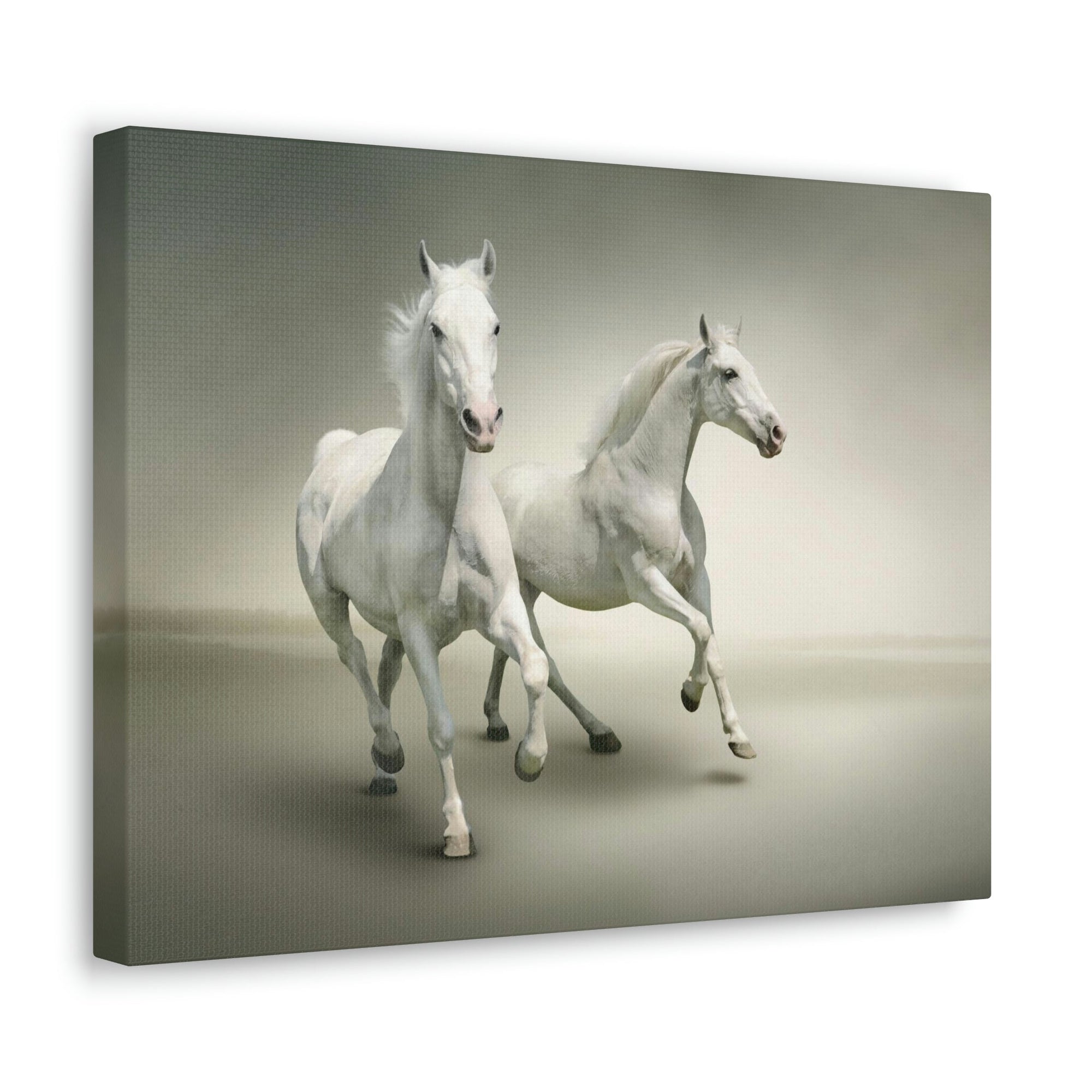 Scripture Walls Couple of White Arab Horse Print Animal Wall Art Wildlife Canvas Prints Wall Art Ready to Hang Unframed-Express Your Love Gifts