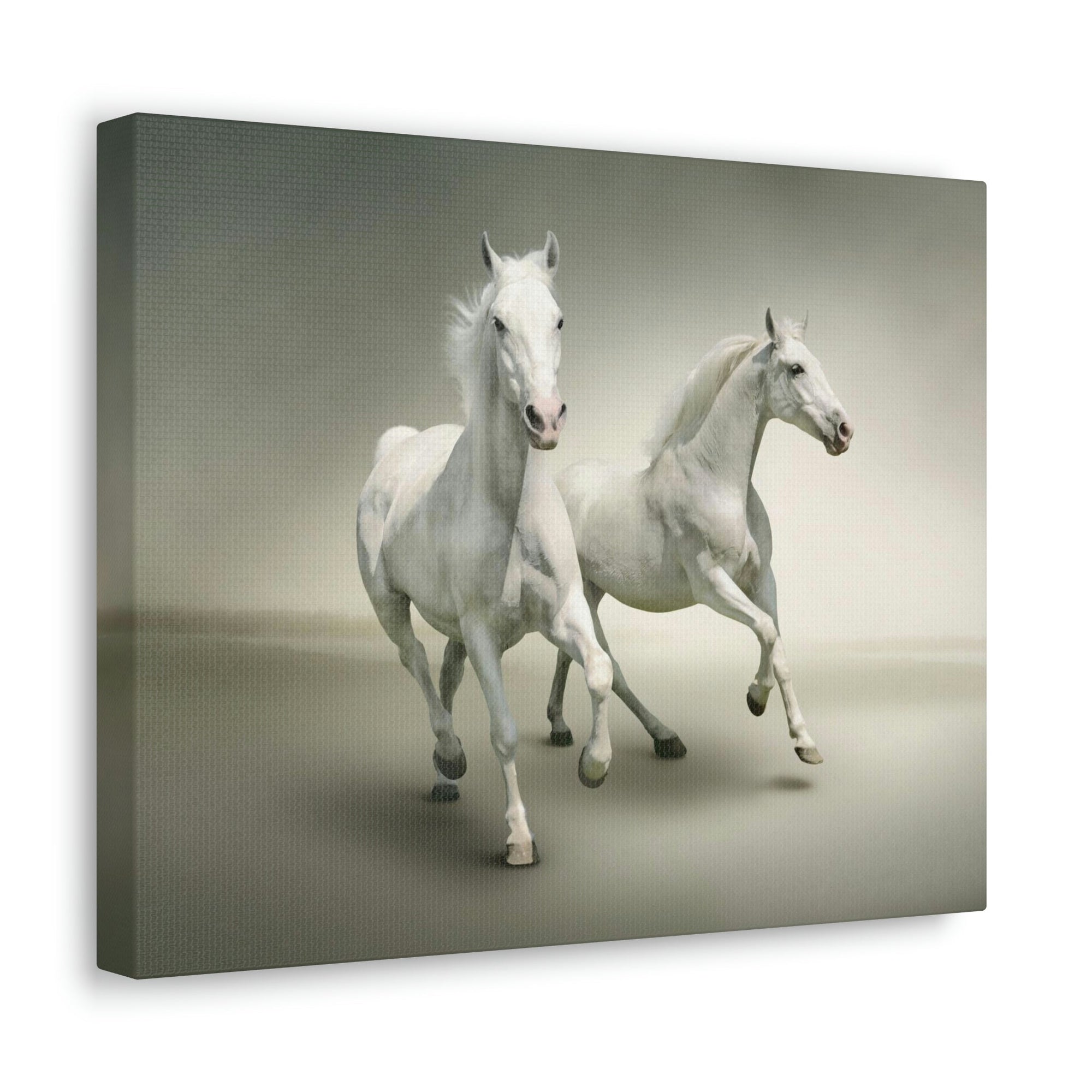 Scripture Walls Couple of White Arab Horse Print Animal Wall Art Wildlife Canvas Prints Wall Art Ready to Hang Unframed-Express Your Love Gifts