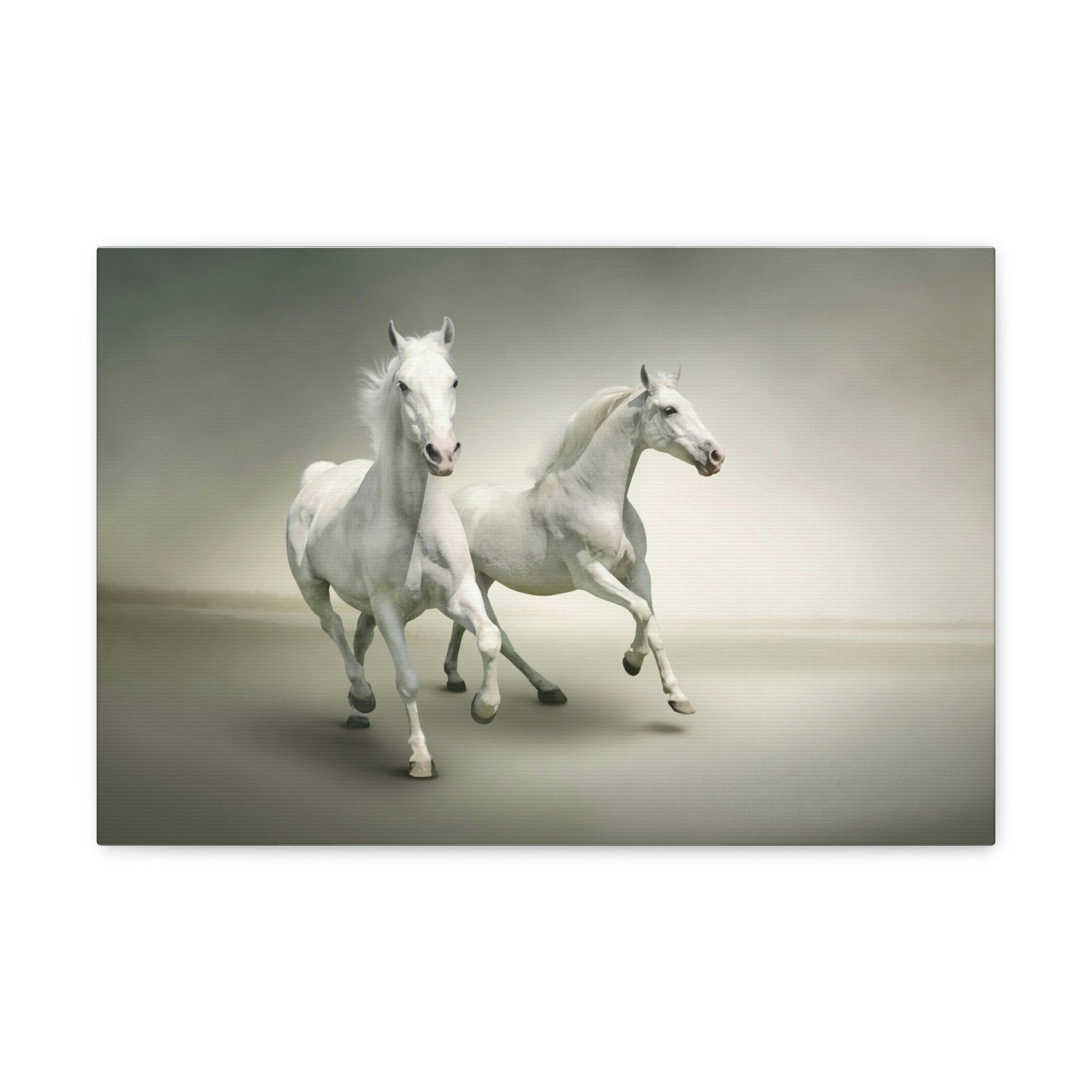 Scripture Walls Couple of White Arab Horse Print Animal Wall Art Wildlife Canvas Prints Wall Art Ready to Hang Unframed-Express Your Love Gifts