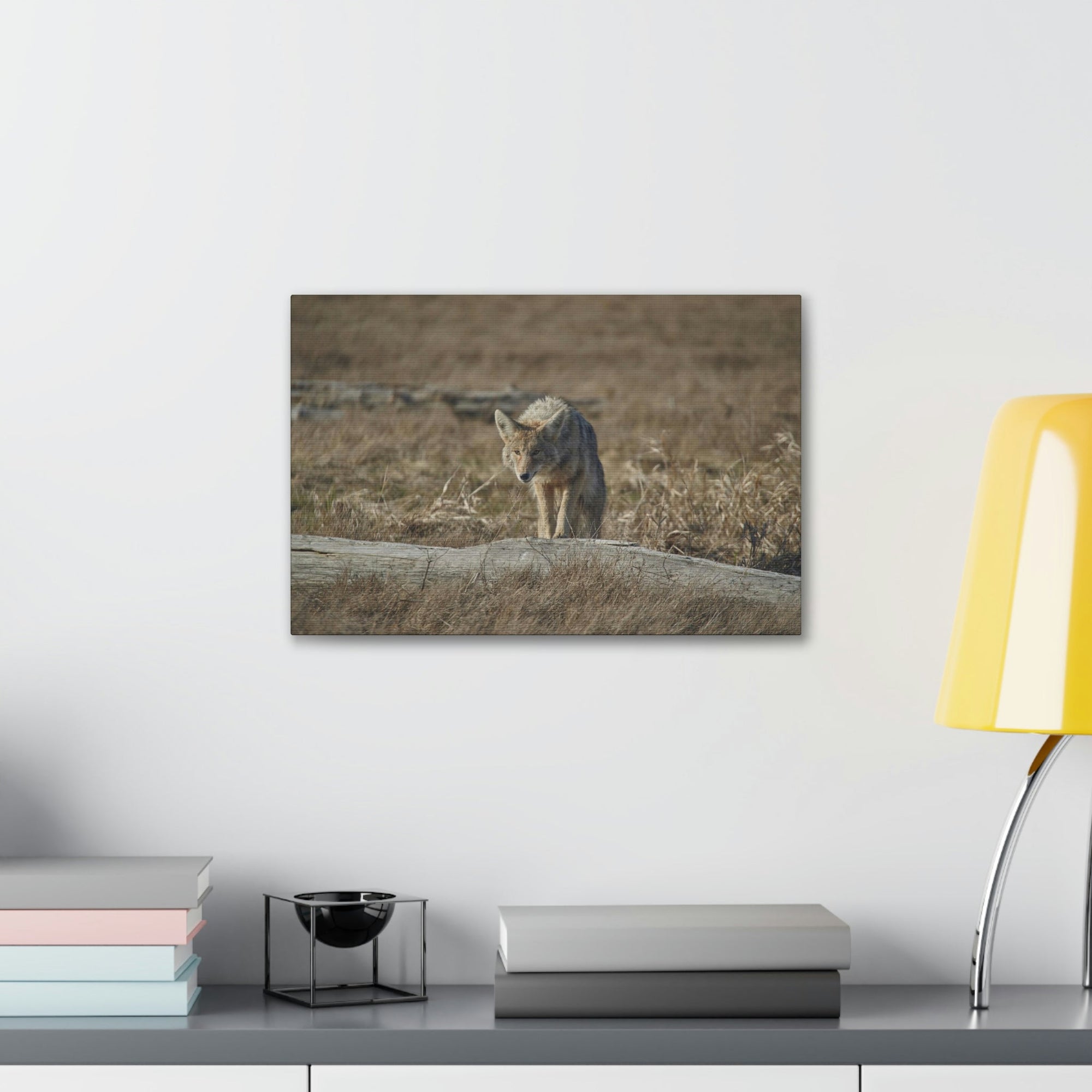 Scripture Walls Coyote Hunting Coyote on Hunt Print Animal Wall Art Wildlife Canvas Prints Wall Art Ready to Hang Unframed-Express Your Love Gifts