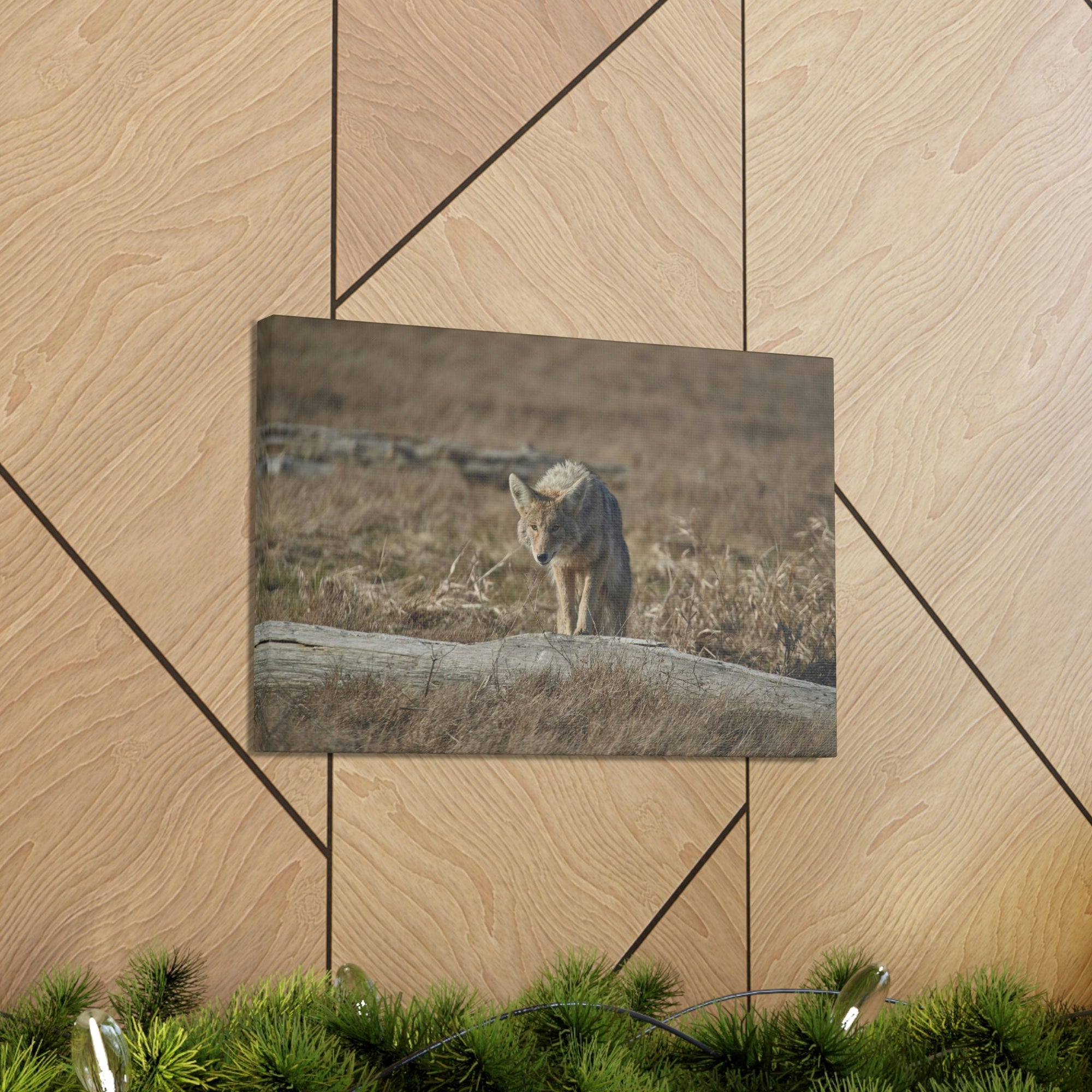 Scripture Walls Coyote Hunting Coyote on Hunt Print Animal Wall Art Wildlife Canvas Prints Wall Art Ready to Hang Unframed-Express Your Love Gifts