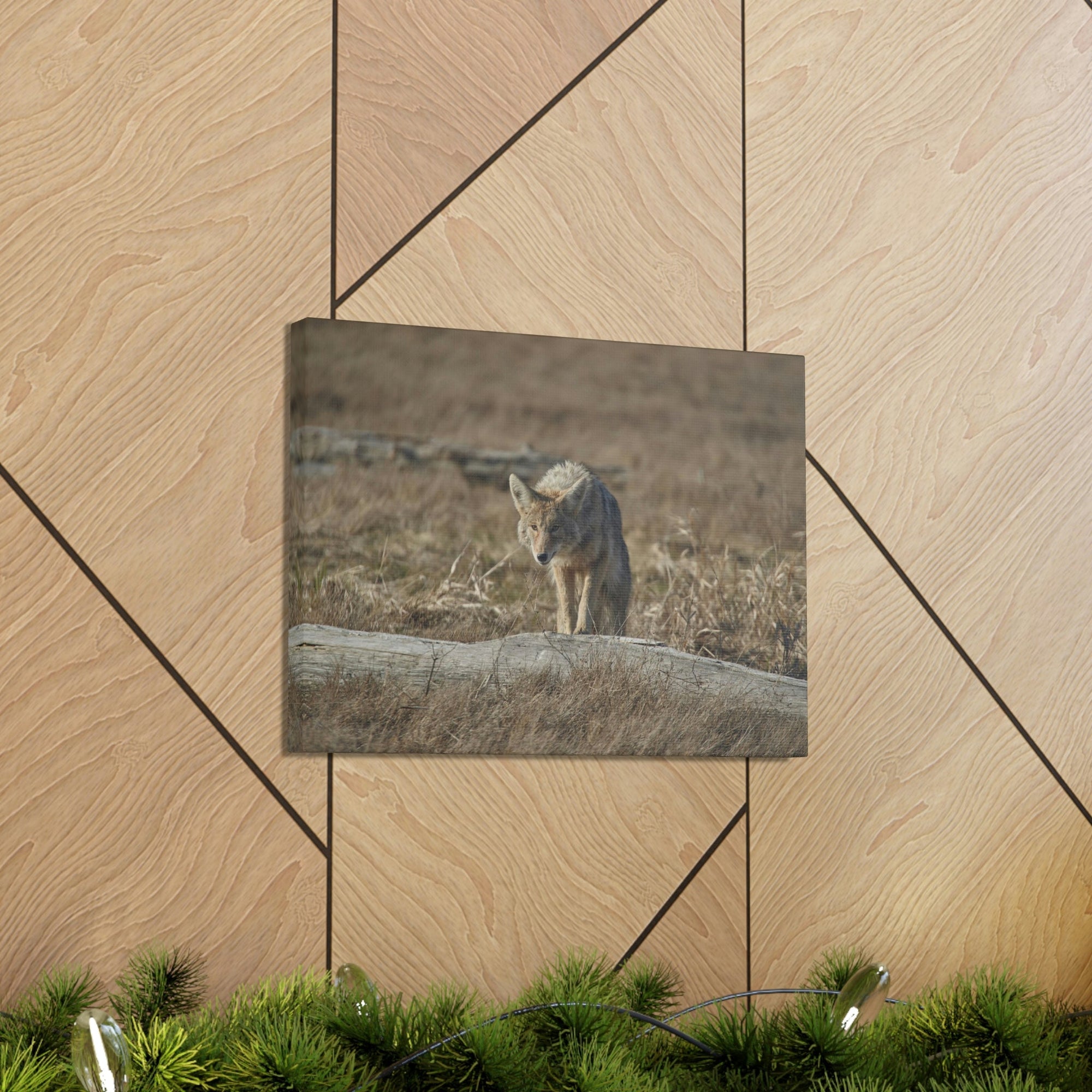 Scripture Walls Coyote Hunting Coyote on Hunt Print Animal Wall Art Wildlife Canvas Prints Wall Art Ready to Hang Unframed-Express Your Love Gifts