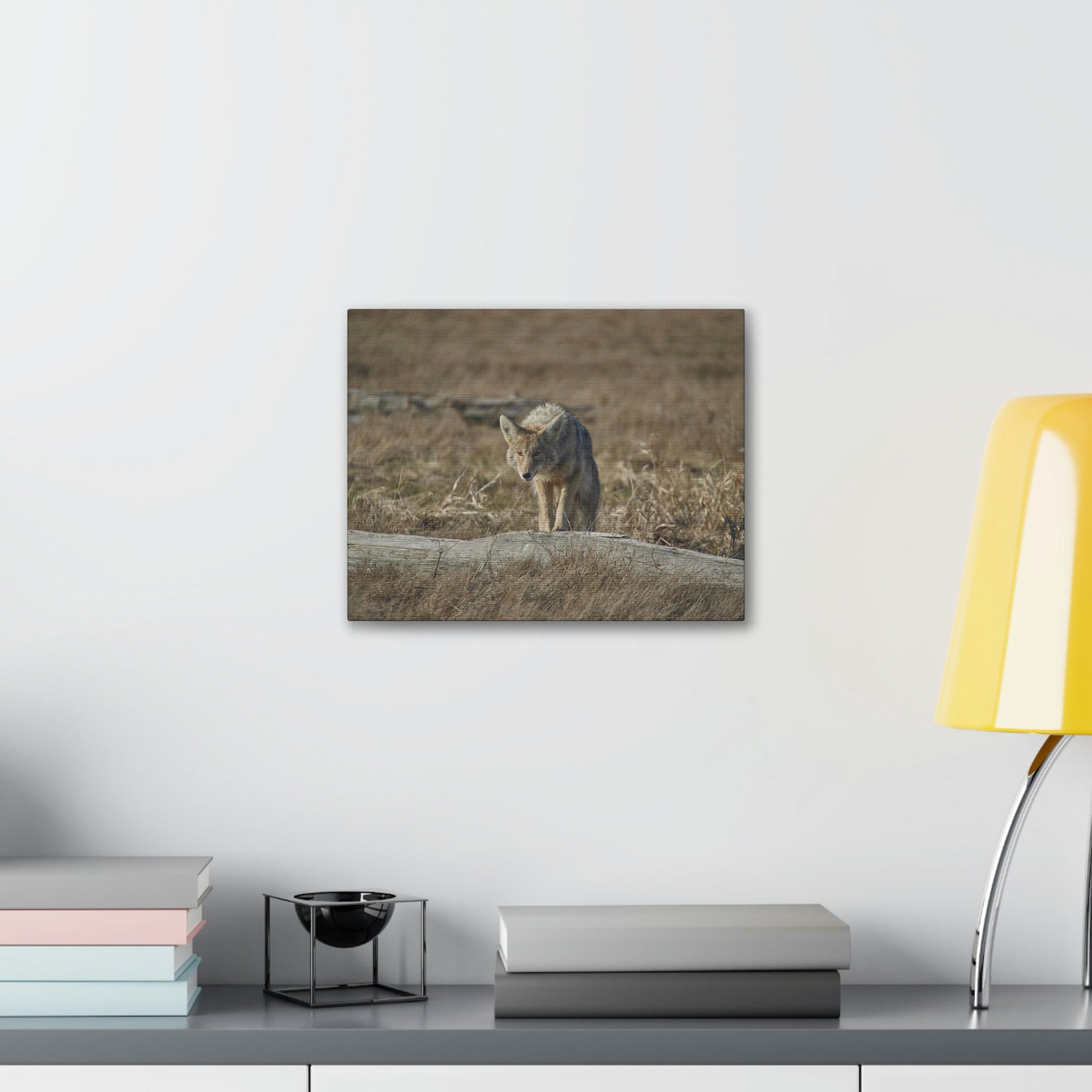 Scripture Walls Coyote Hunting Coyote on Hunt Print Animal Wall Art Wildlife Canvas Prints Wall Art Ready to Hang Unframed-Express Your Love Gifts