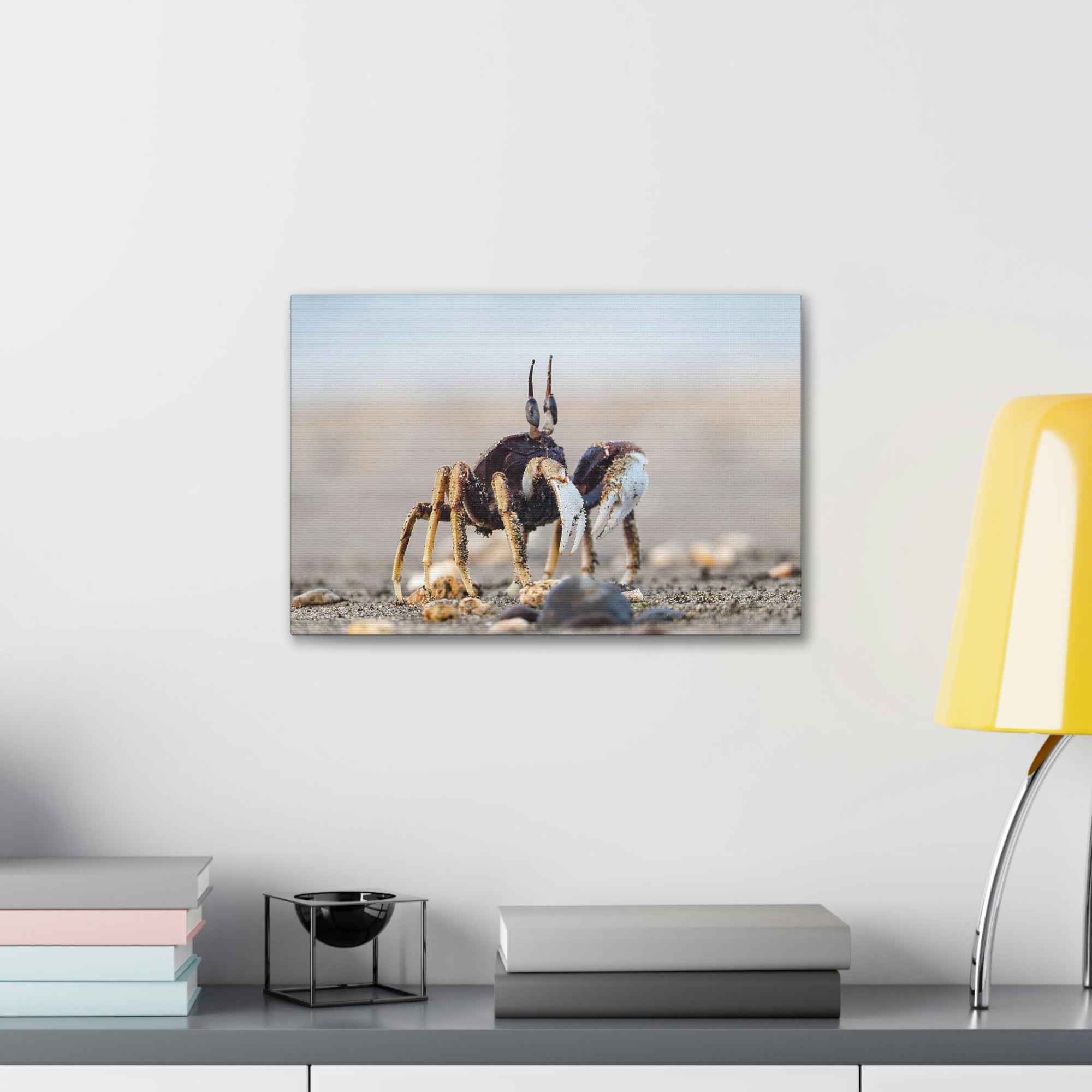 Scripture Walls Crab Hunting Crab on Hunt Print Animal Wall Art Wildlife Canvas Prints Wall Art Ready to Hang Unframed-Express Your Love Gifts