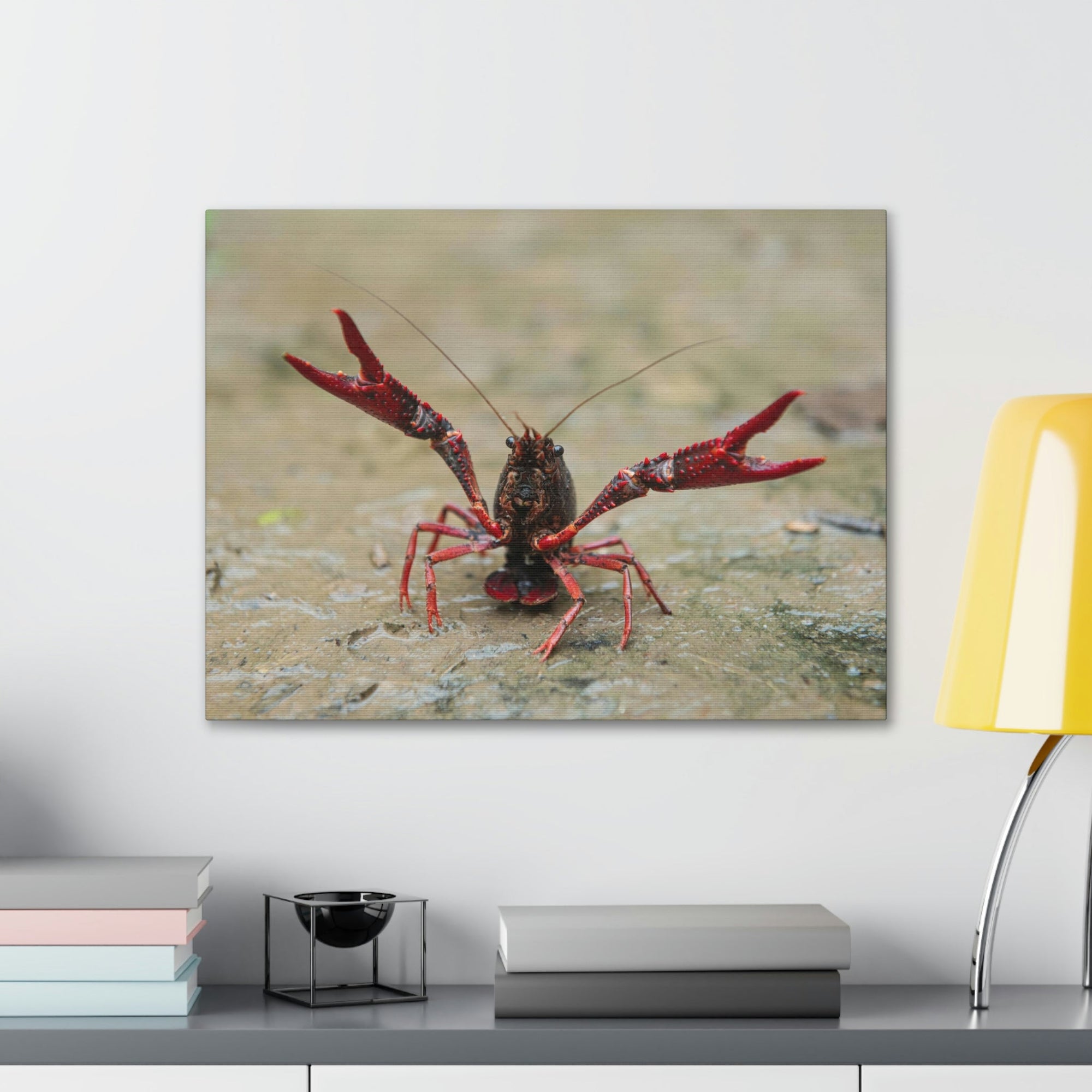 Scripture Walls Crawfish Hunting Crawfish on Hunt Print Animal Wall Art Wildlife Canvas Prints Wall Art Ready to Hang Unframed-Express Your Love Gifts