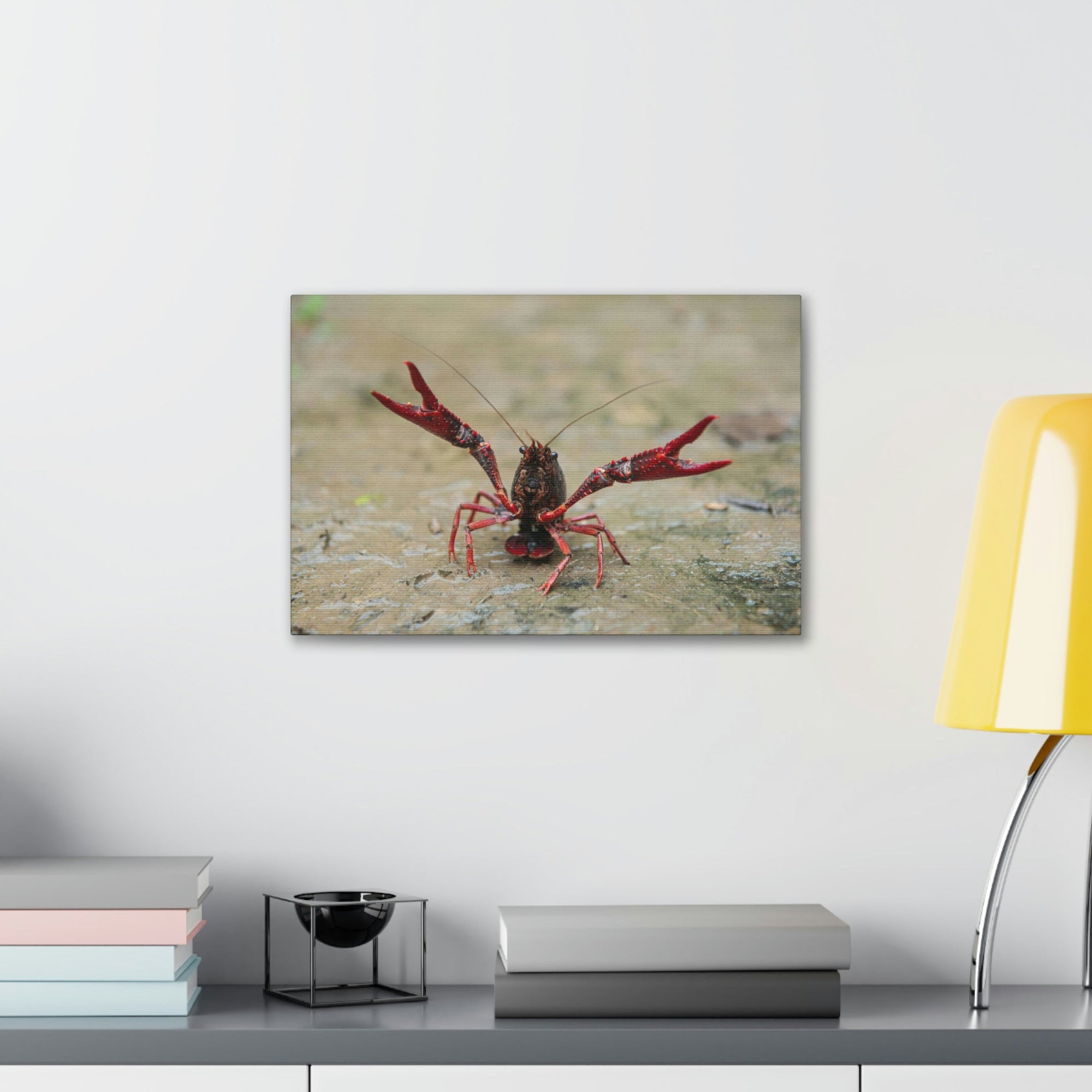 Scripture Walls Crawfish Hunting Crawfish on Hunt Print Animal Wall Art Wildlife Canvas Prints Wall Art Ready to Hang Unframed-Express Your Love Gifts