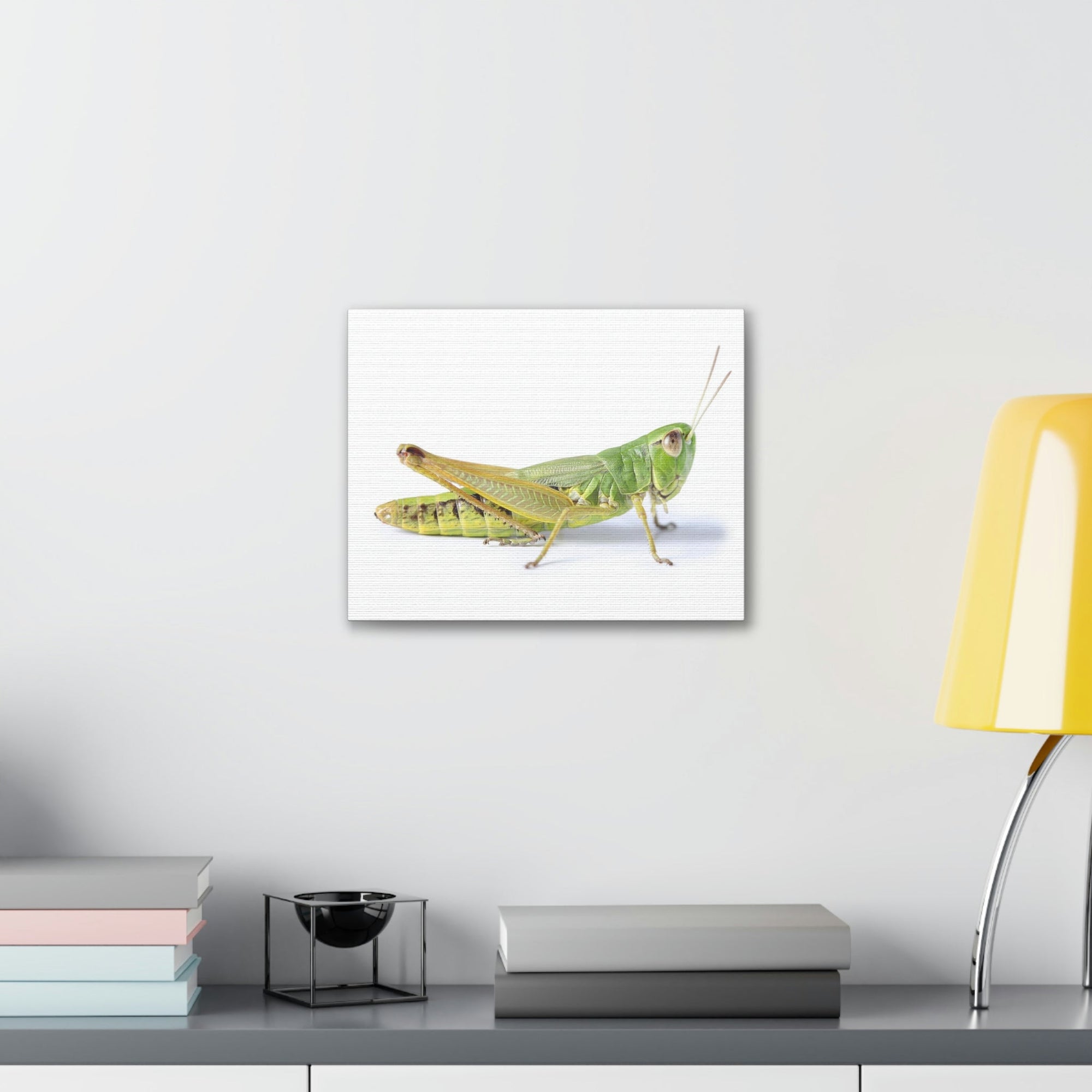 Scripture Walls Cricket Hunting Cricket on Hunt Print Animal Wall Art Wildlife Canvas Prints Wall Art Ready to Hang Unframed-Express Your Love Gifts