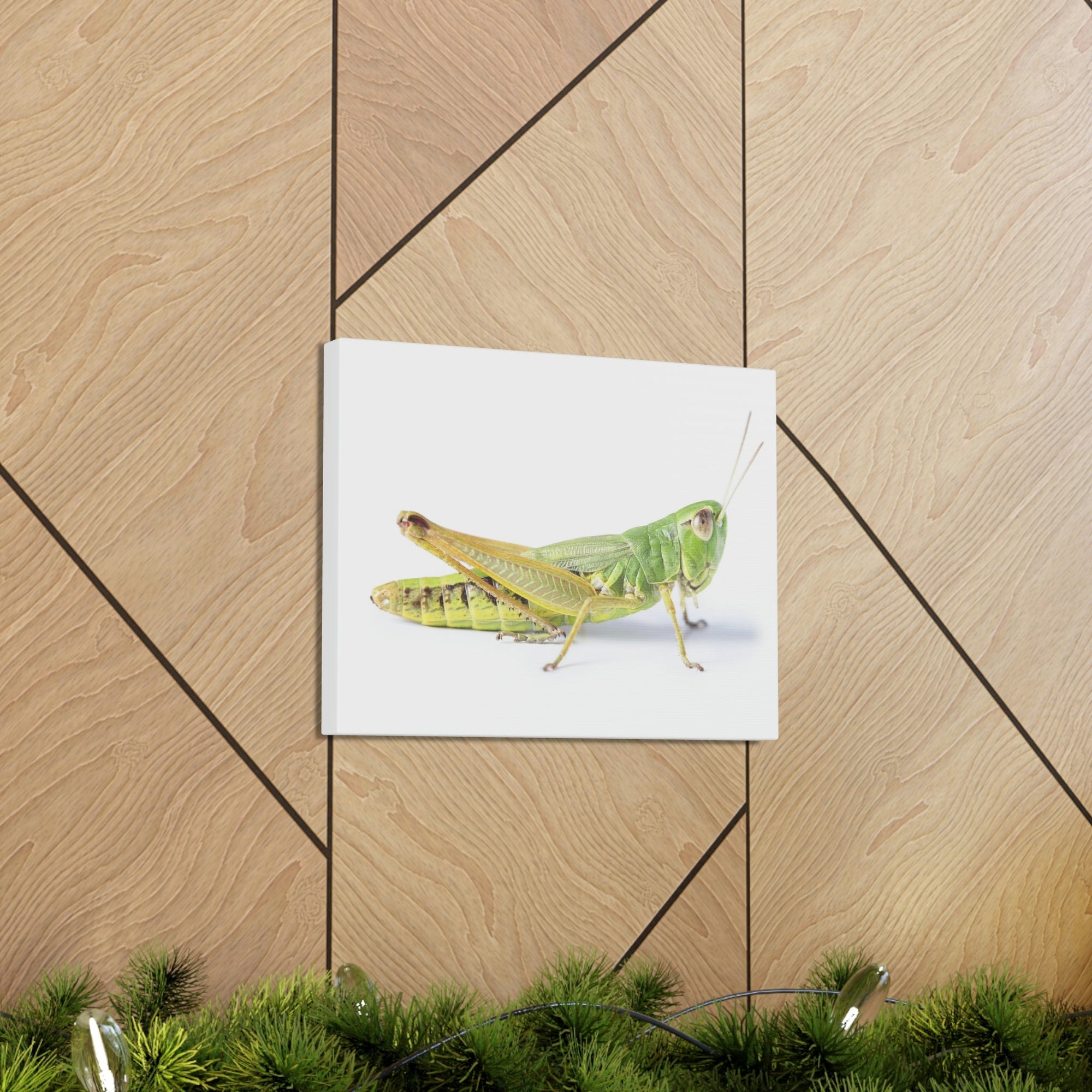 Scripture Walls Cricket Hunting Cricket on Hunt Print Animal Wall Art Wildlife Canvas Prints Wall Art Ready to Hang Unframed-Express Your Love Gifts