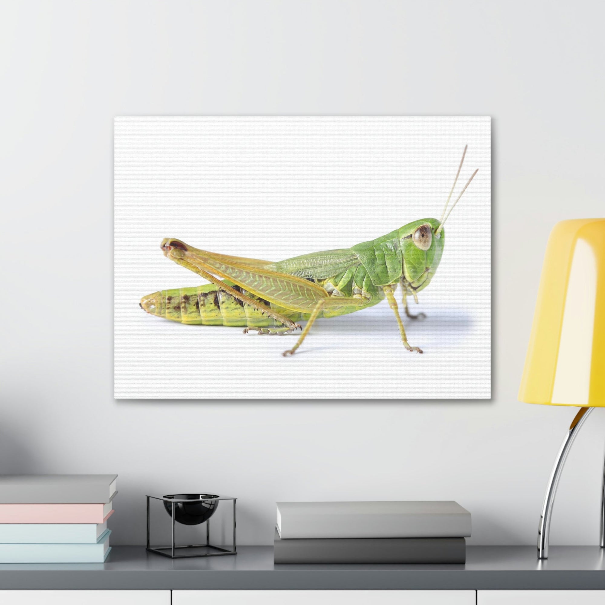 Scripture Walls Cricket Hunting Cricket on Hunt Print Animal Wall Art Wildlife Canvas Prints Wall Art Ready to Hang Unframed-Express Your Love Gifts