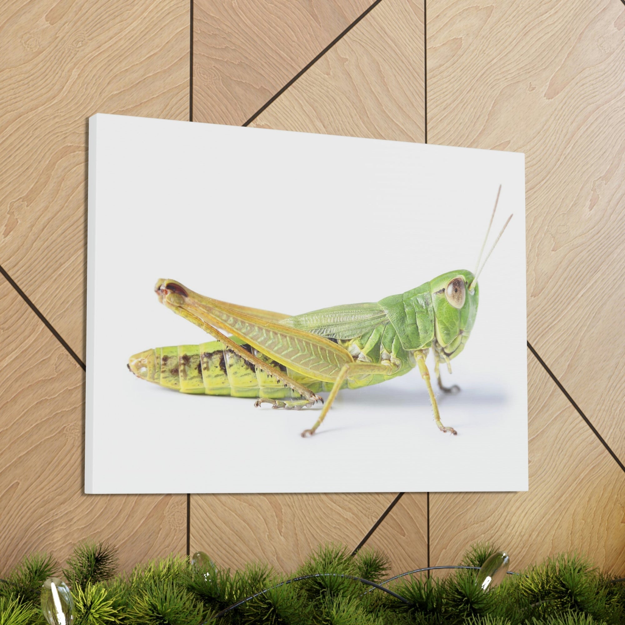 Scripture Walls Cricket Hunting Cricket on Hunt Print Animal Wall Art Wildlife Canvas Prints Wall Art Ready to Hang Unframed-Express Your Love Gifts