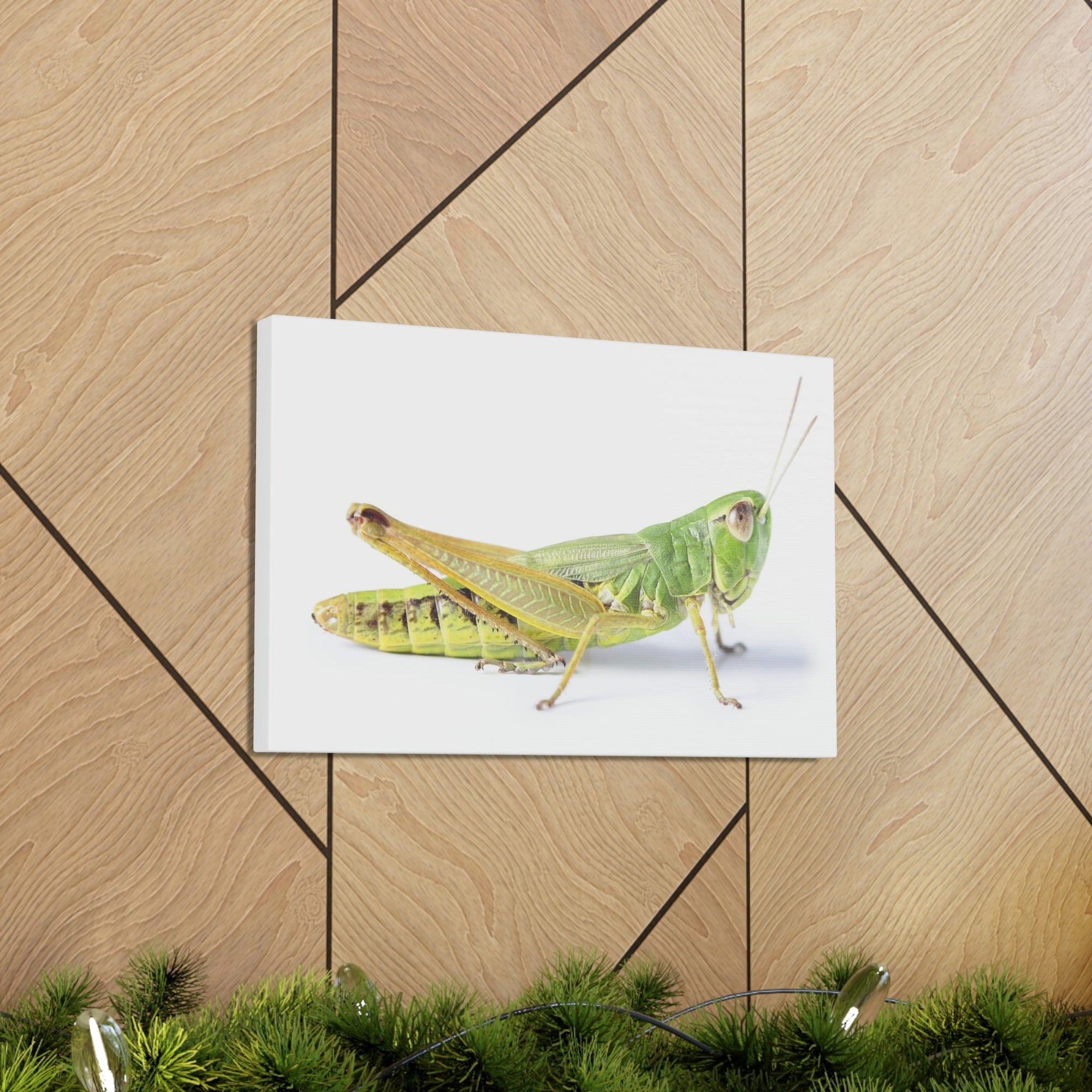 Scripture Walls Cricket Hunting Cricket on Hunt Print Animal Wall Art Wildlife Canvas Prints Wall Art Ready to Hang Unframed-Express Your Love Gifts