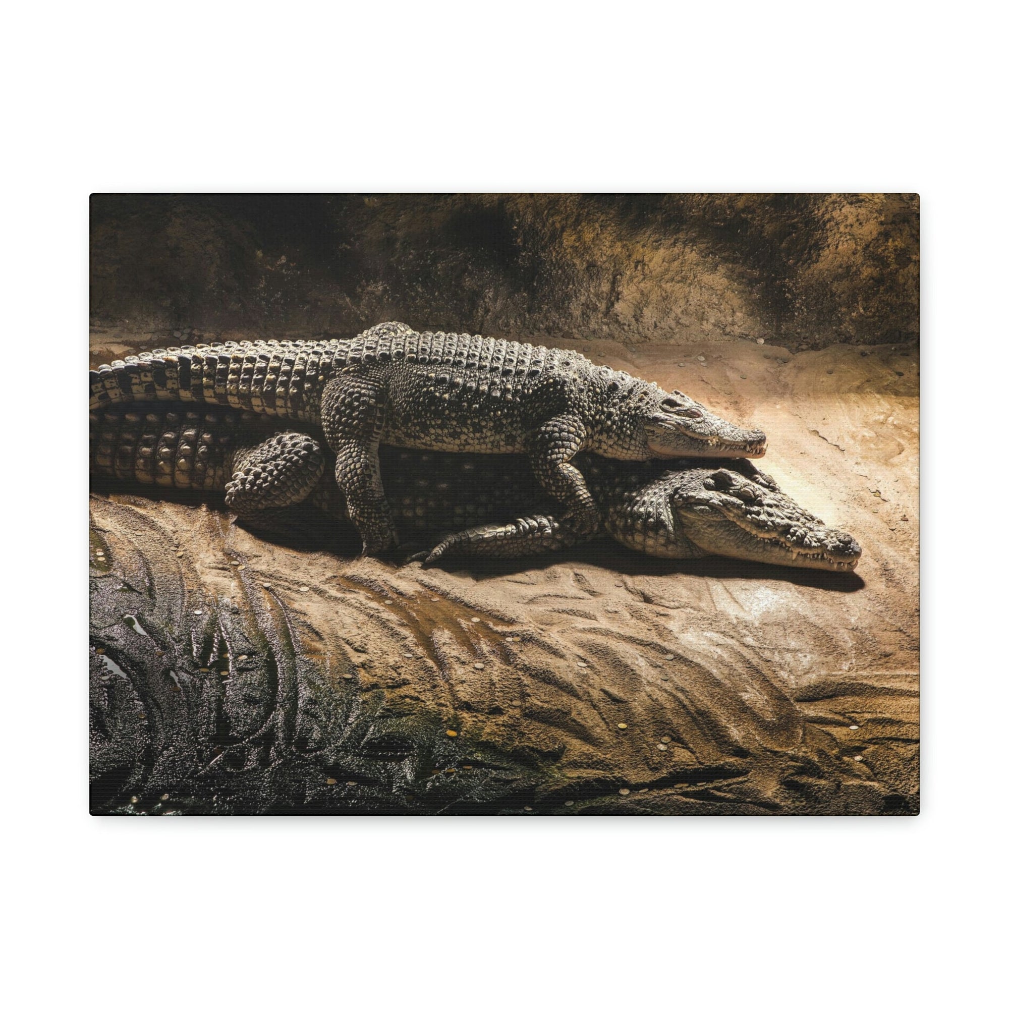 Scripture Walls Crocodile Couple Crocodile Troop Print Animal Wall Art Wildlife Canvas Prints Wall Art Ready to Hang Unframed-Express Your Love Gifts