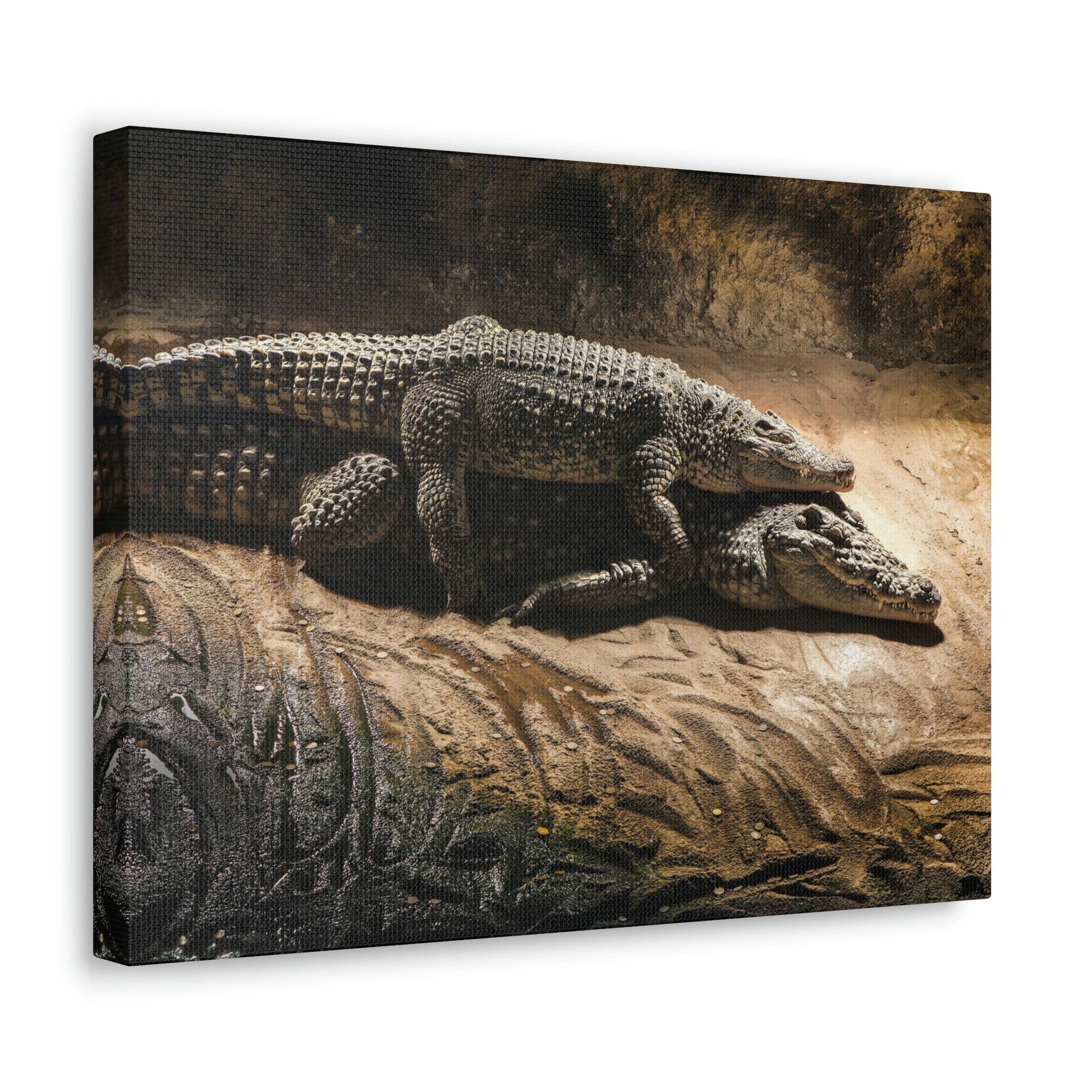 Scripture Walls Crocodile Couple Crocodile Troop Print Animal Wall Art Wildlife Canvas Prints Wall Art Ready to Hang Unframed-Express Your Love Gifts