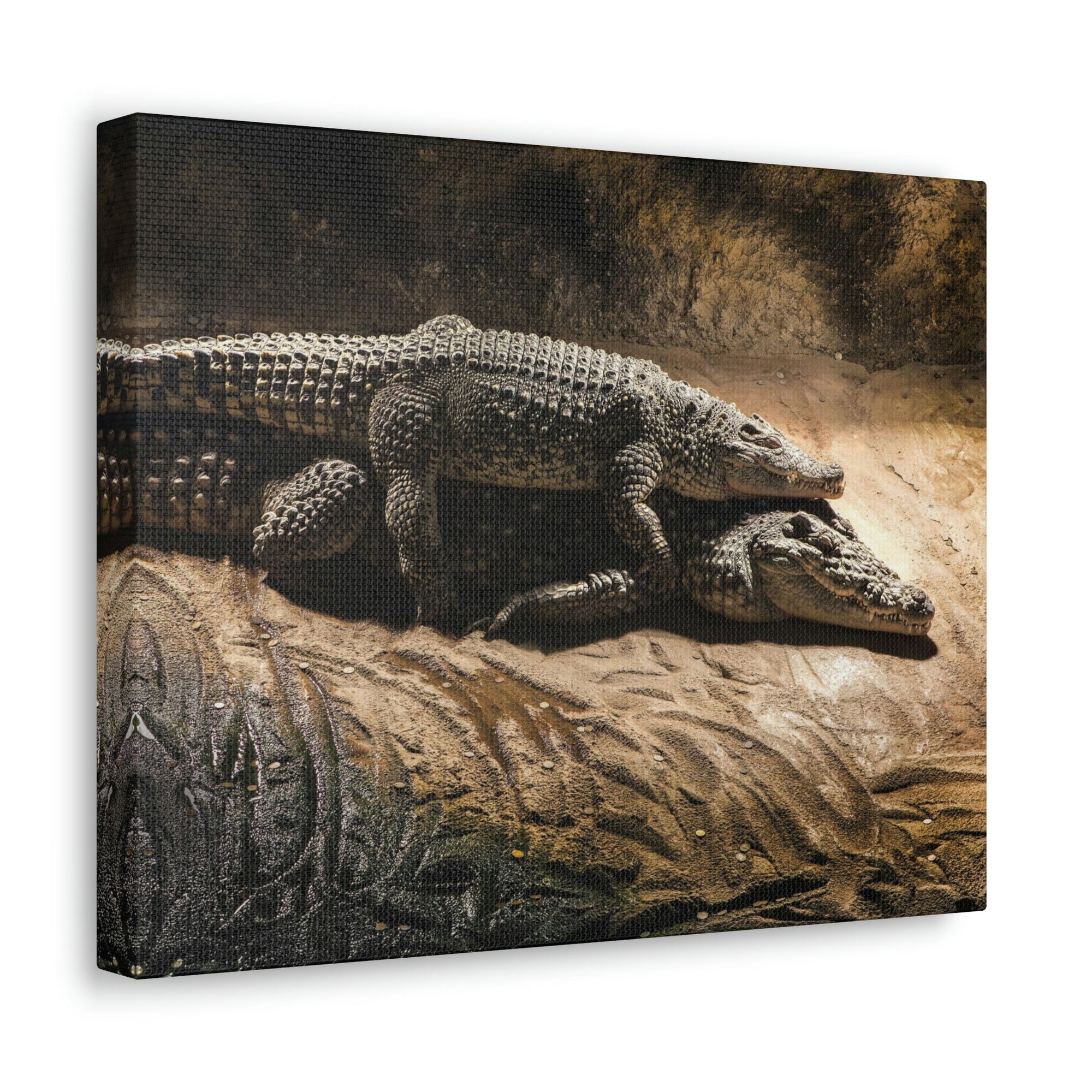 Scripture Walls Crocodile Couple Crocodile Troop Print Animal Wall Art Wildlife Canvas Prints Wall Art Ready to Hang Unframed-Express Your Love Gifts