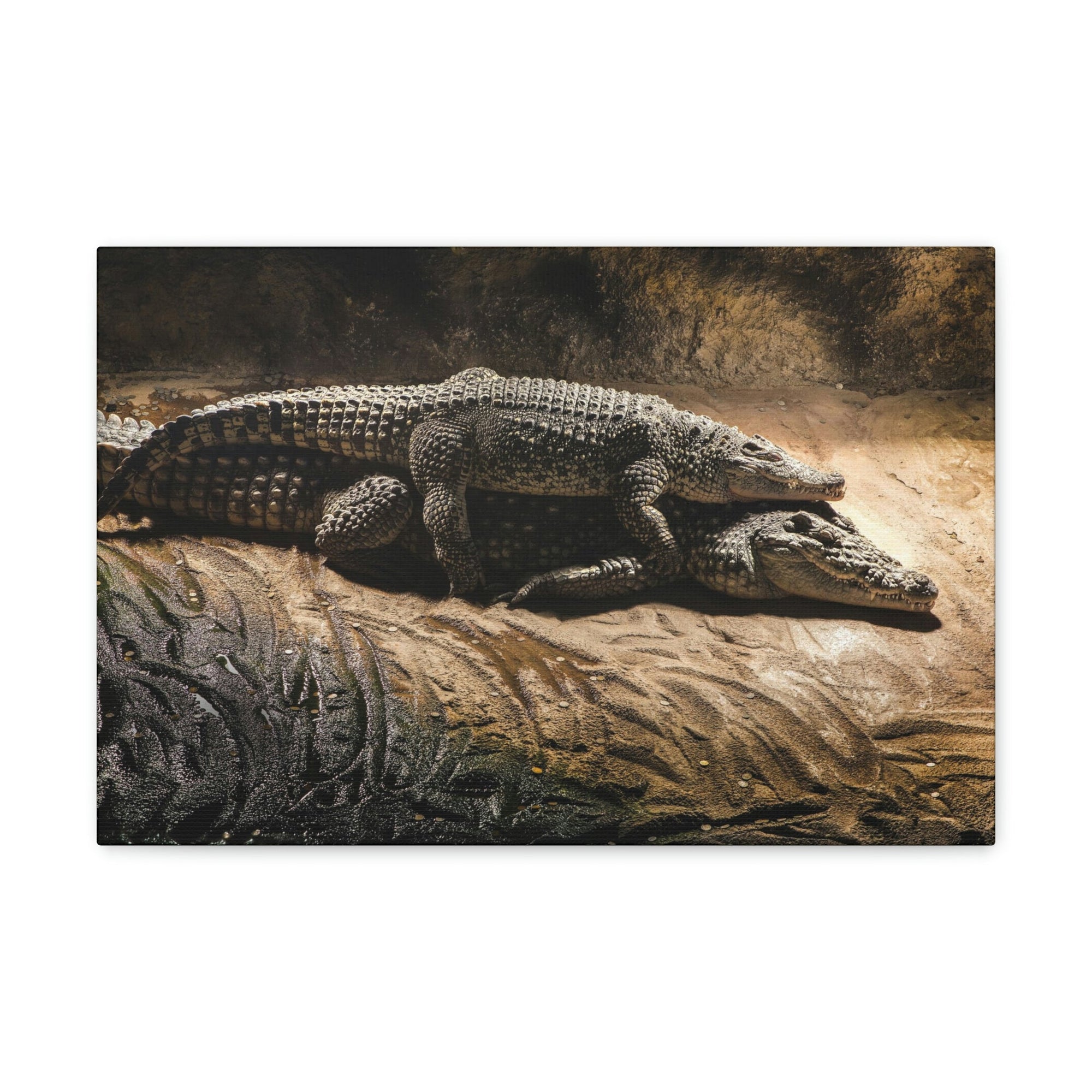 Scripture Walls Crocodile Couple Crocodile Troop Print Animal Wall Art Wildlife Canvas Prints Wall Art Ready to Hang Unframed-Express Your Love Gifts