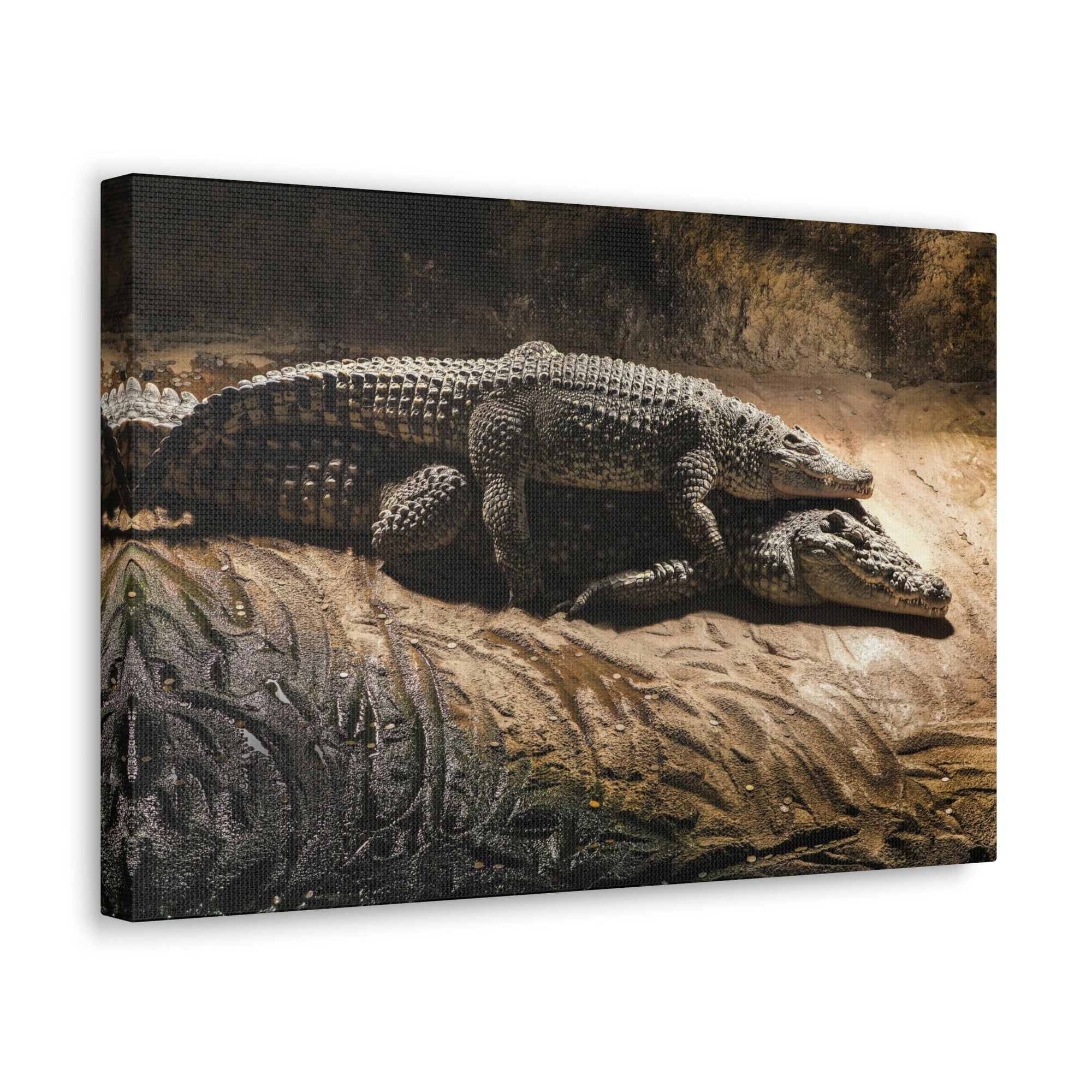 Scripture Walls Crocodile Couple Crocodile Troop Print Animal Wall Art Wildlife Canvas Prints Wall Art Ready to Hang Unframed-Express Your Love Gifts