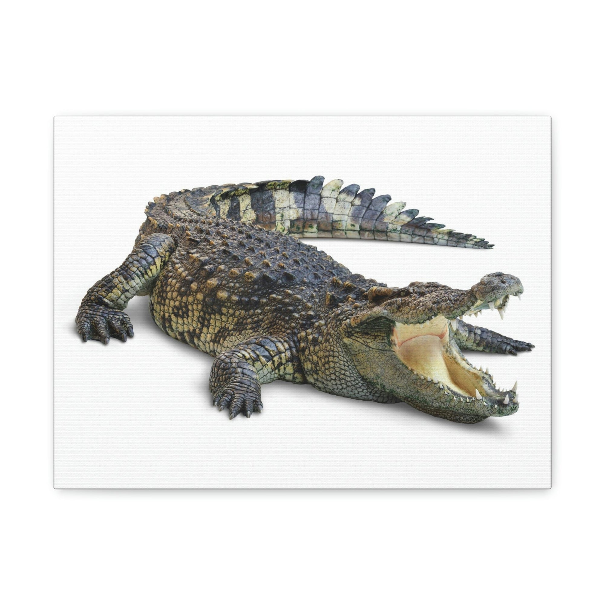 Scripture Walls Crocodile Hunting Crocodile on Hunt Print Animal Wall Art Wildlife Canvas Prints Wall Art Ready to Hang Unframed-Express Your Love Gifts