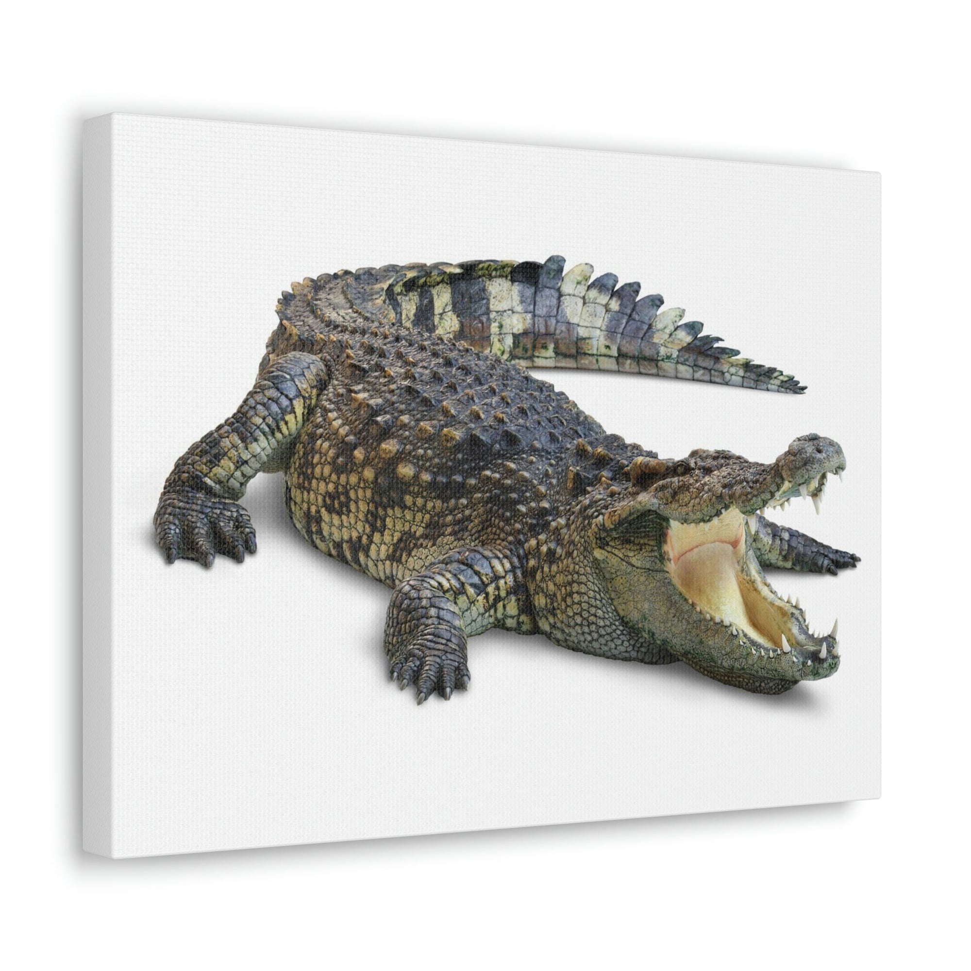 Scripture Walls Crocodile Hunting Crocodile on Hunt Print Animal Wall Art Wildlife Canvas Prints Wall Art Ready to Hang Unframed-Express Your Love Gifts