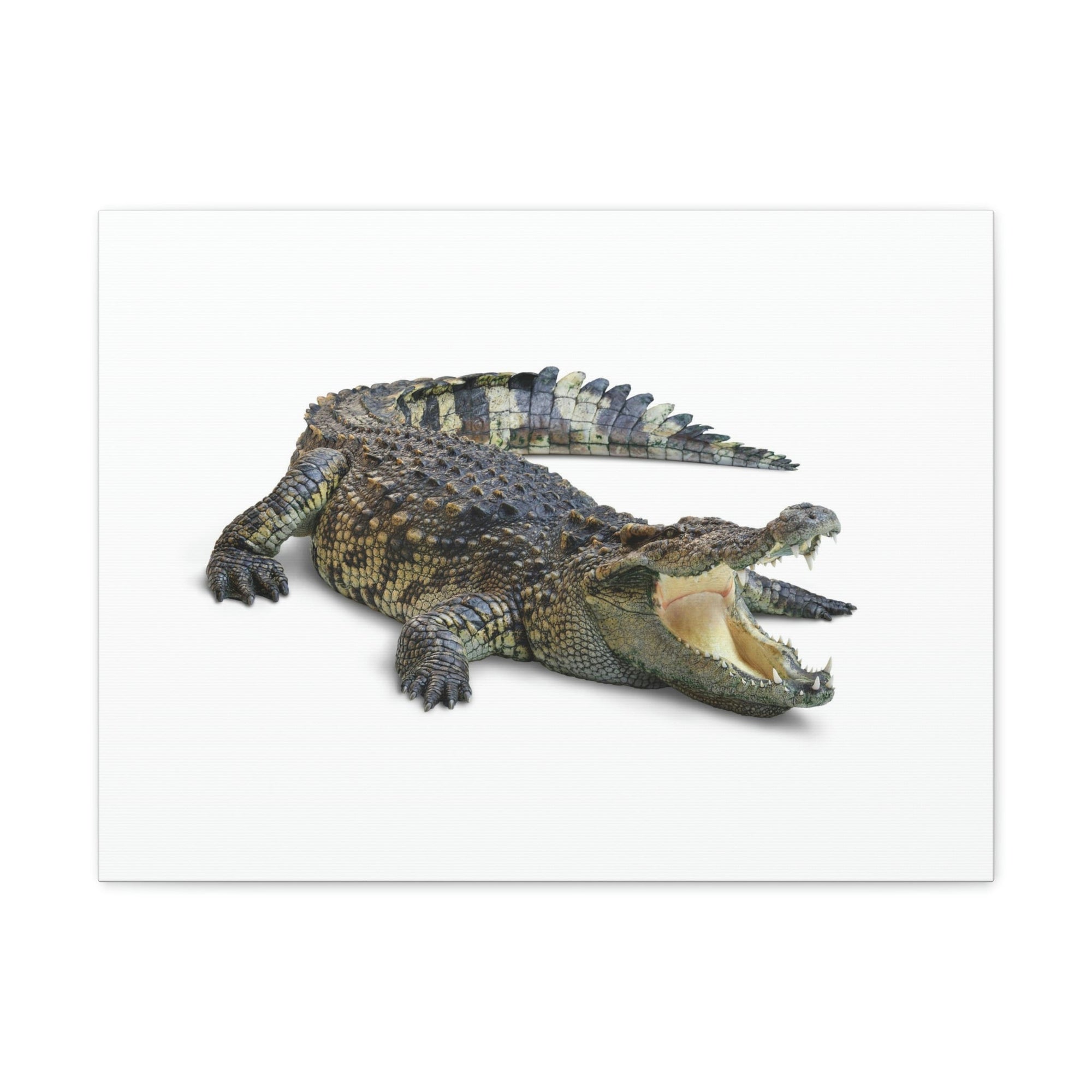 Scripture Walls Crocodile Hunting Crocodile on Hunt Print Animal Wall Art Wildlife Canvas Prints Wall Art Ready to Hang Unframed-Express Your Love Gifts