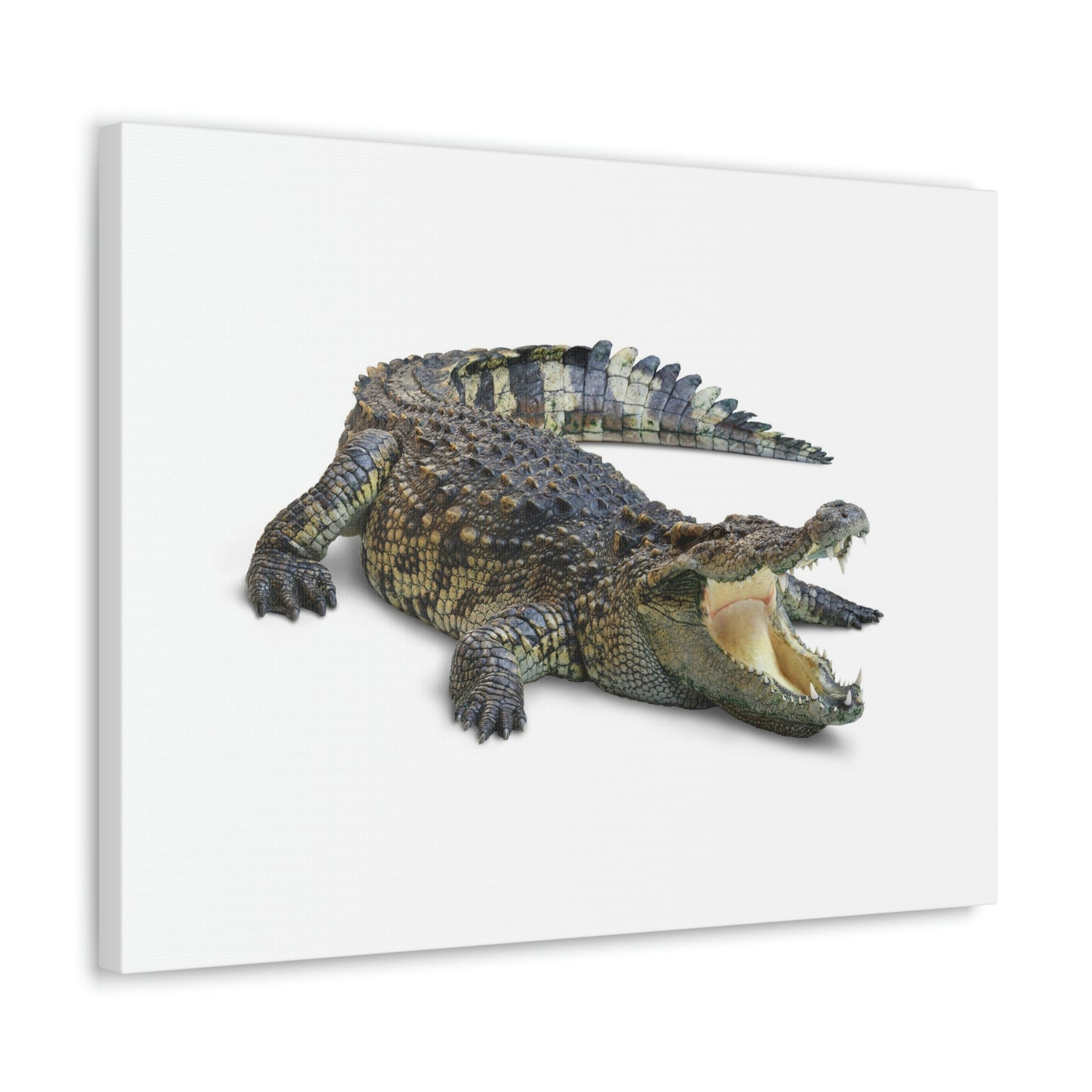 Scripture Walls Crocodile Hunting Crocodile on Hunt Print Animal Wall Art Wildlife Canvas Prints Wall Art Ready to Hang Unframed-Express Your Love Gifts