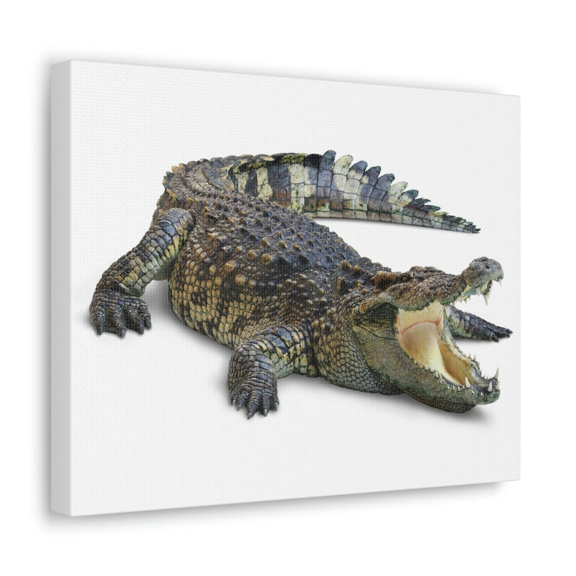 Scripture Walls Crocodile Hunting Crocodile on Hunt Print Animal Wall Art Wildlife Canvas Prints Wall Art Ready to Hang Unframed-Express Your Love Gifts