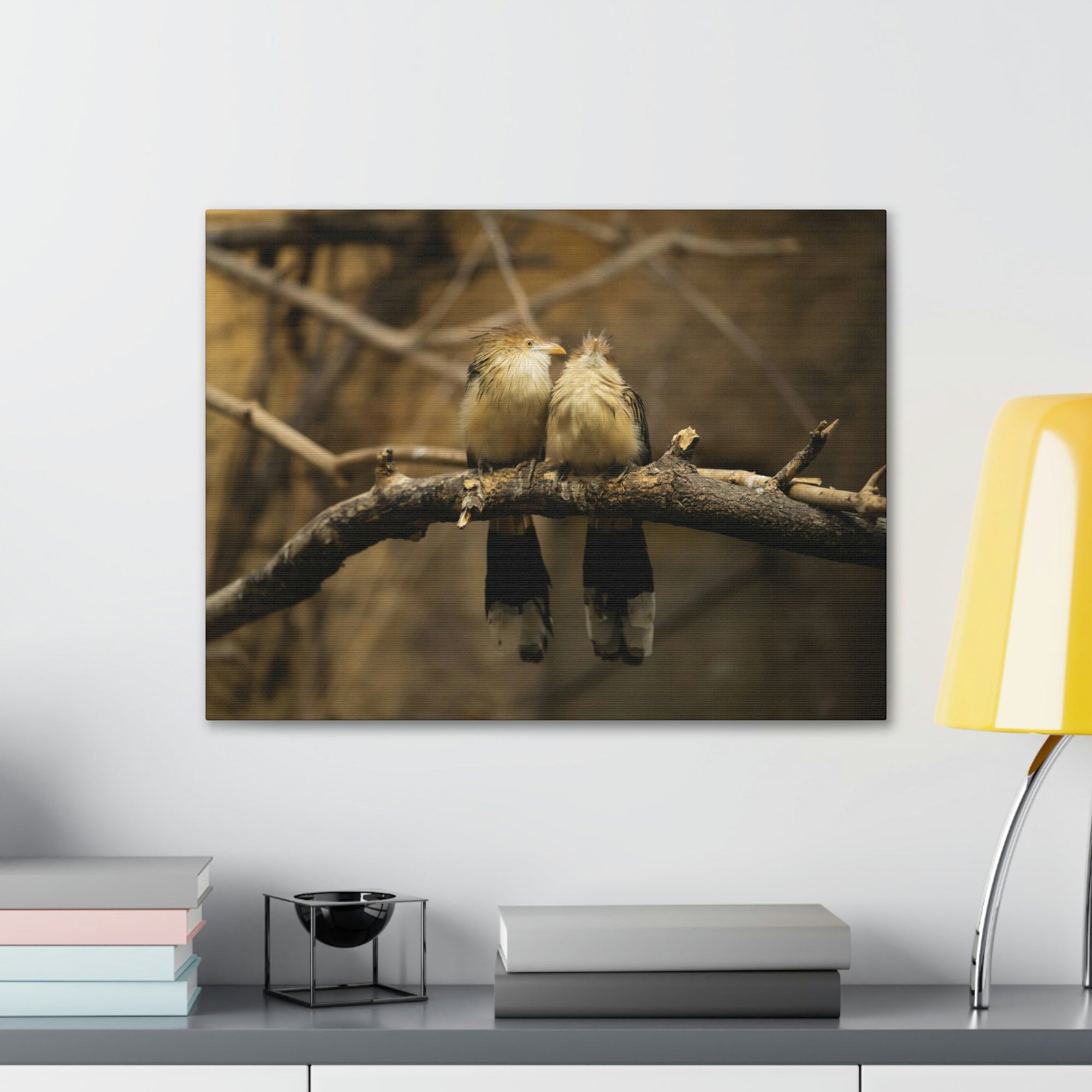 Scripture Walls Cuckoo Bird Couple Sitting on a Tree Branch Print Animal Wall Art Wildlife Canvas Prints Wall Art Ready to Hang Unframed-Express Your Love Gifts