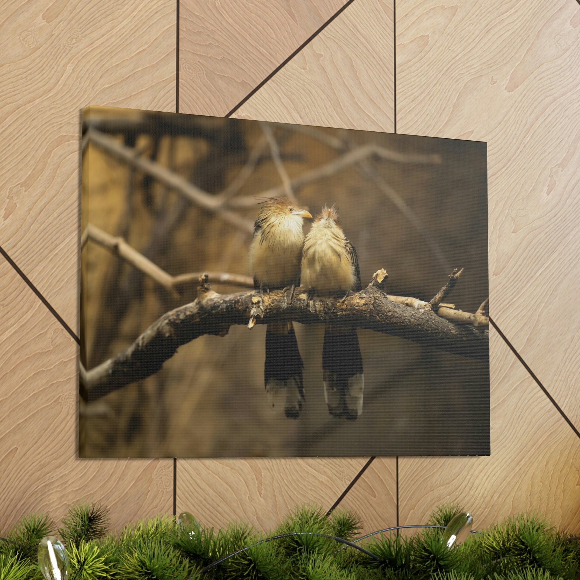 Scripture Walls Cuckoo Bird Couple Sitting on a Tree Branch Print Animal Wall Art Wildlife Canvas Prints Wall Art Ready to Hang Unframed-Express Your Love Gifts