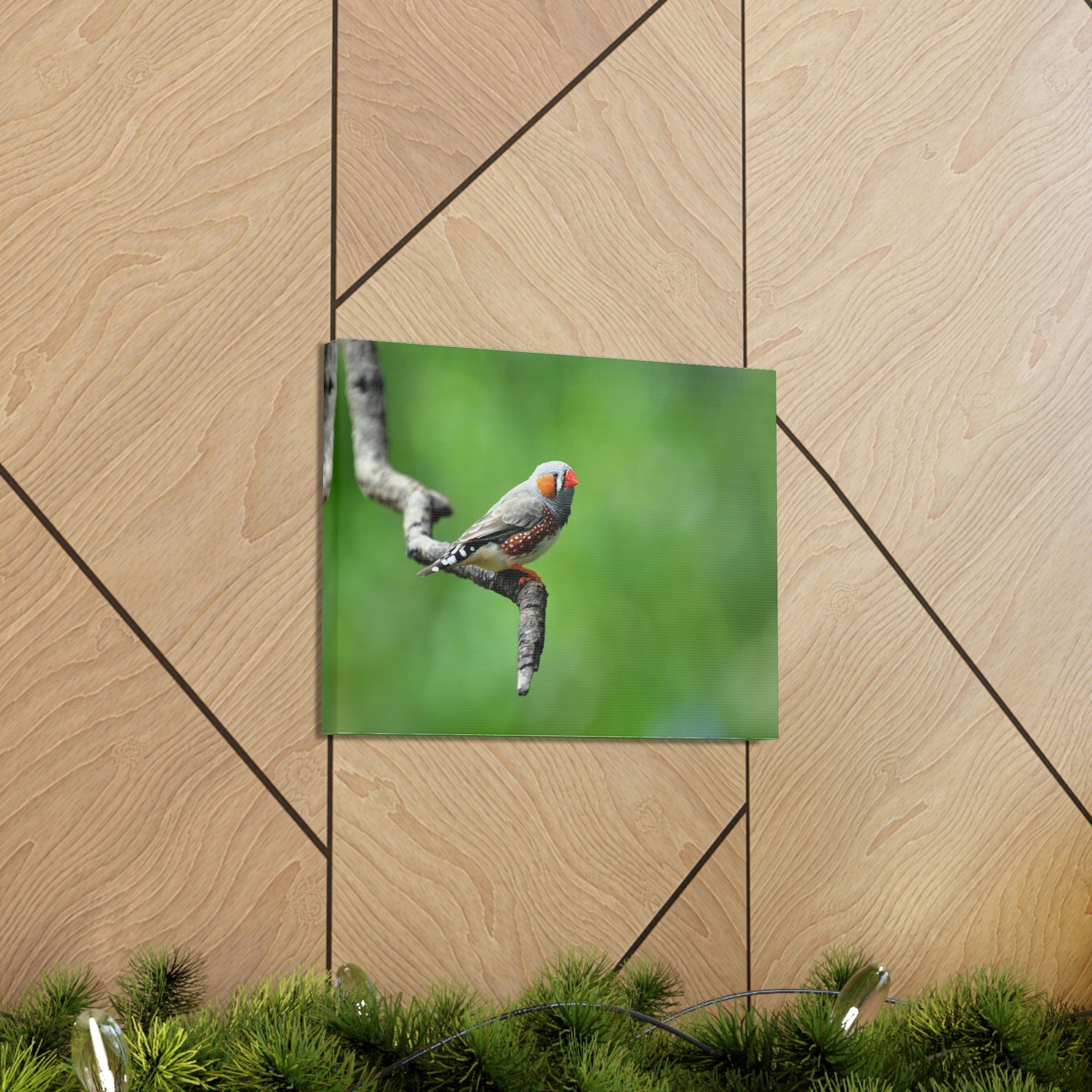 Scripture Walls Exotic Zebra Finch Sitting on a Tree Branch Print Animal Wall Art Wildlife Canvas Prints Wall Art Ready to Hang Unframed-Express Your Love Gifts