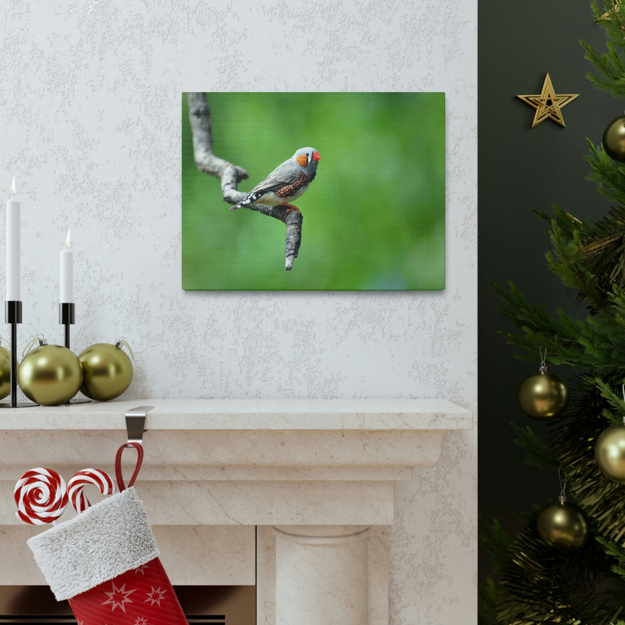 Scripture Walls Exotic Zebra Finch Sitting on a Tree Branch Print Animal Wall Art Wildlife Canvas Prints Wall Art Ready to Hang Unframed-Express Your Love Gifts