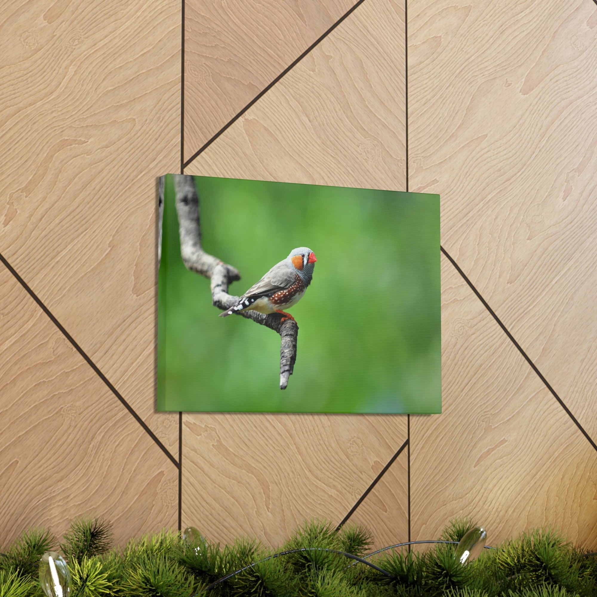 Scripture Walls Exotic Zebra Finch Sitting on a Tree Branch Print Animal Wall Art Wildlife Canvas Prints Wall Art Ready to Hang Unframed-Express Your Love Gifts