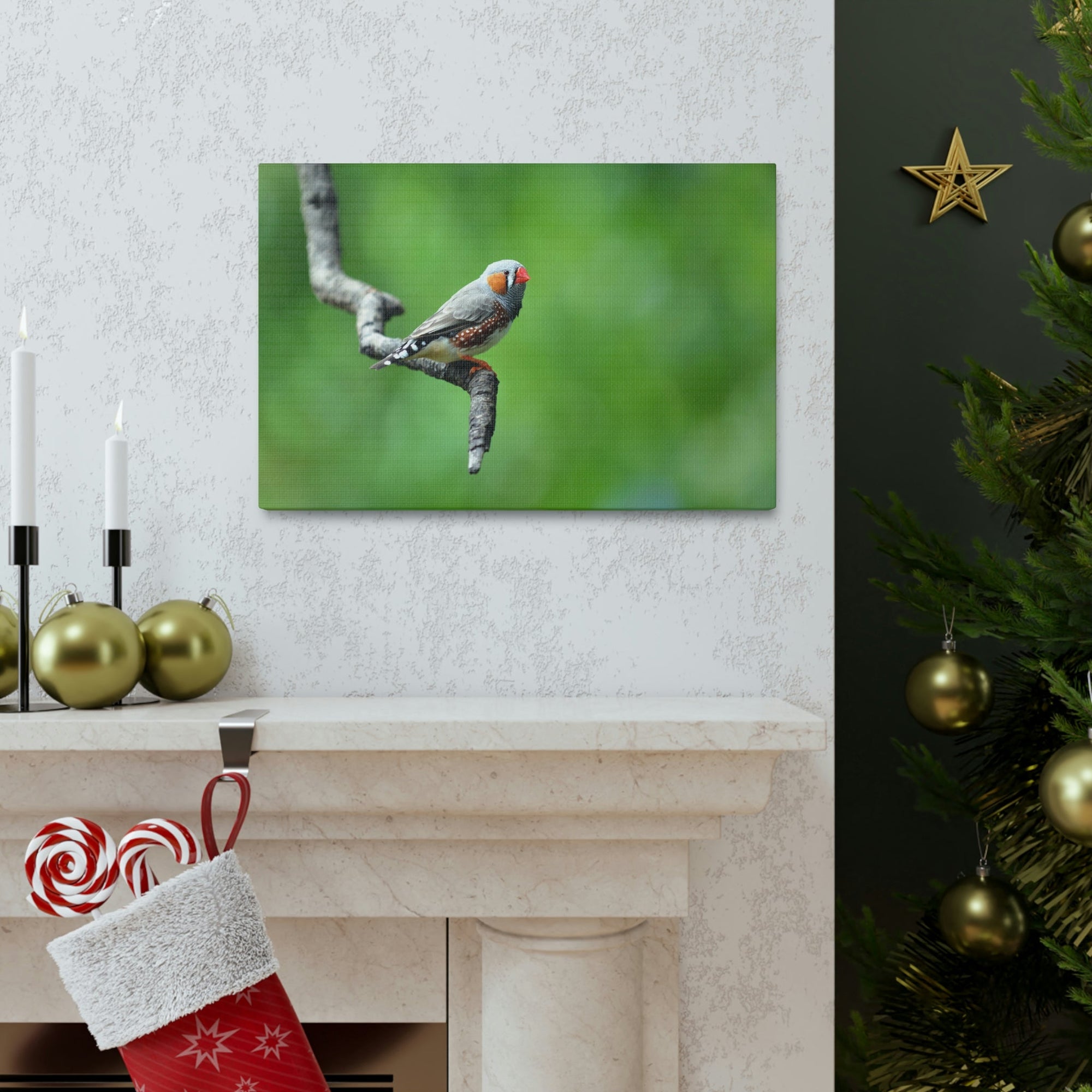 Scripture Walls Exotic Zebra Finch Sitting on a Tree Branch Print Animal Wall Art Wildlife Canvas Prints Wall Art Ready to Hang Unframed-Express Your Love Gifts