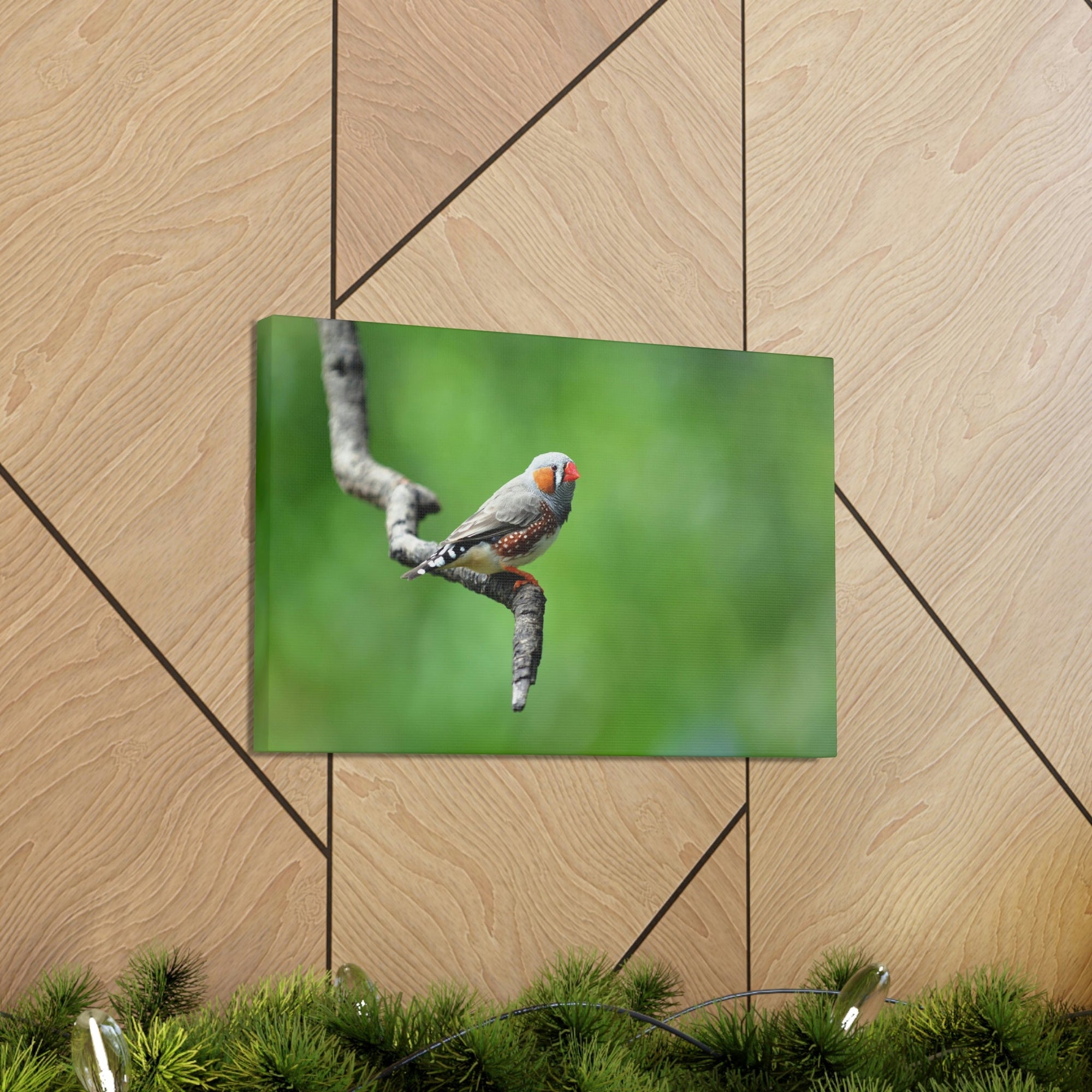 Scripture Walls Exotic Zebra Finch Sitting on a Tree Branch Print Animal Wall Art Wildlife Canvas Prints Wall Art Ready to Hang Unframed-Express Your Love Gifts