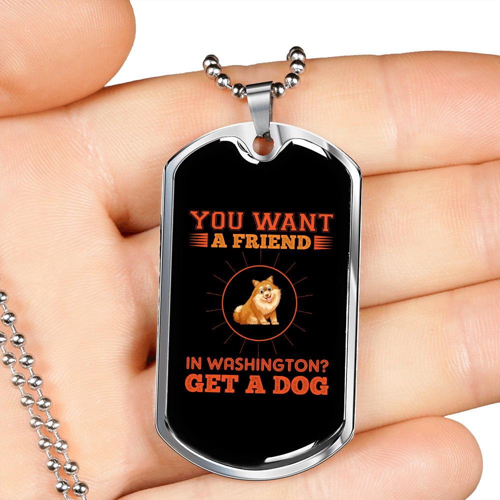 Friend in Washington Necklace Stainless Steel or 18k Gold Dog Tag 24" Chain-Express Your Love Gifts