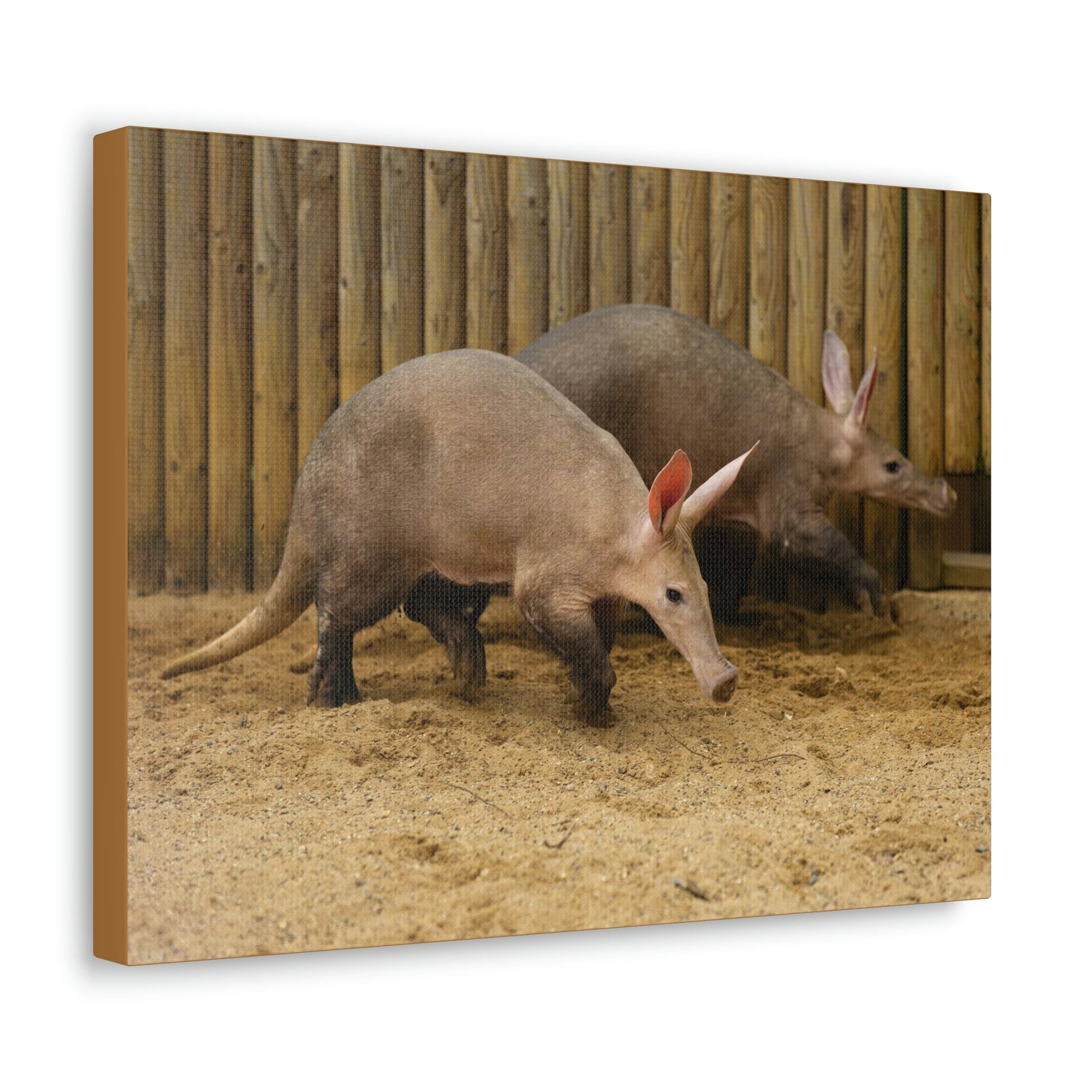 Funny Aardvark Silly Aardvark Couple Wall Art Ready to Hang Unframed-Express Your Love Gifts