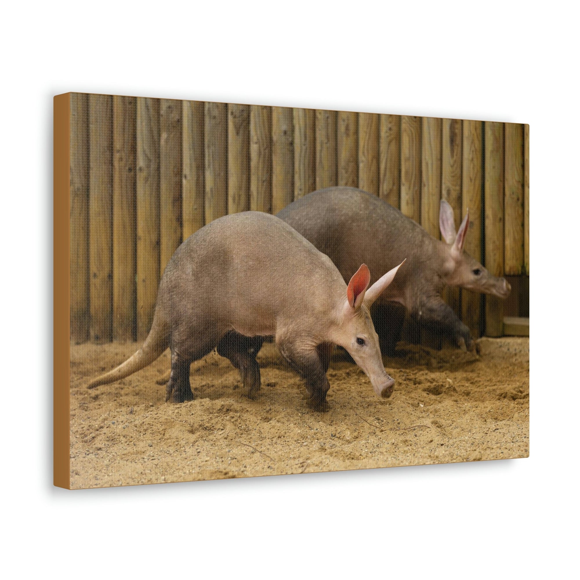 Funny Aardvark Silly Aardvark Couple Wall Art Ready to Hang Unframed-Express Your Love Gifts