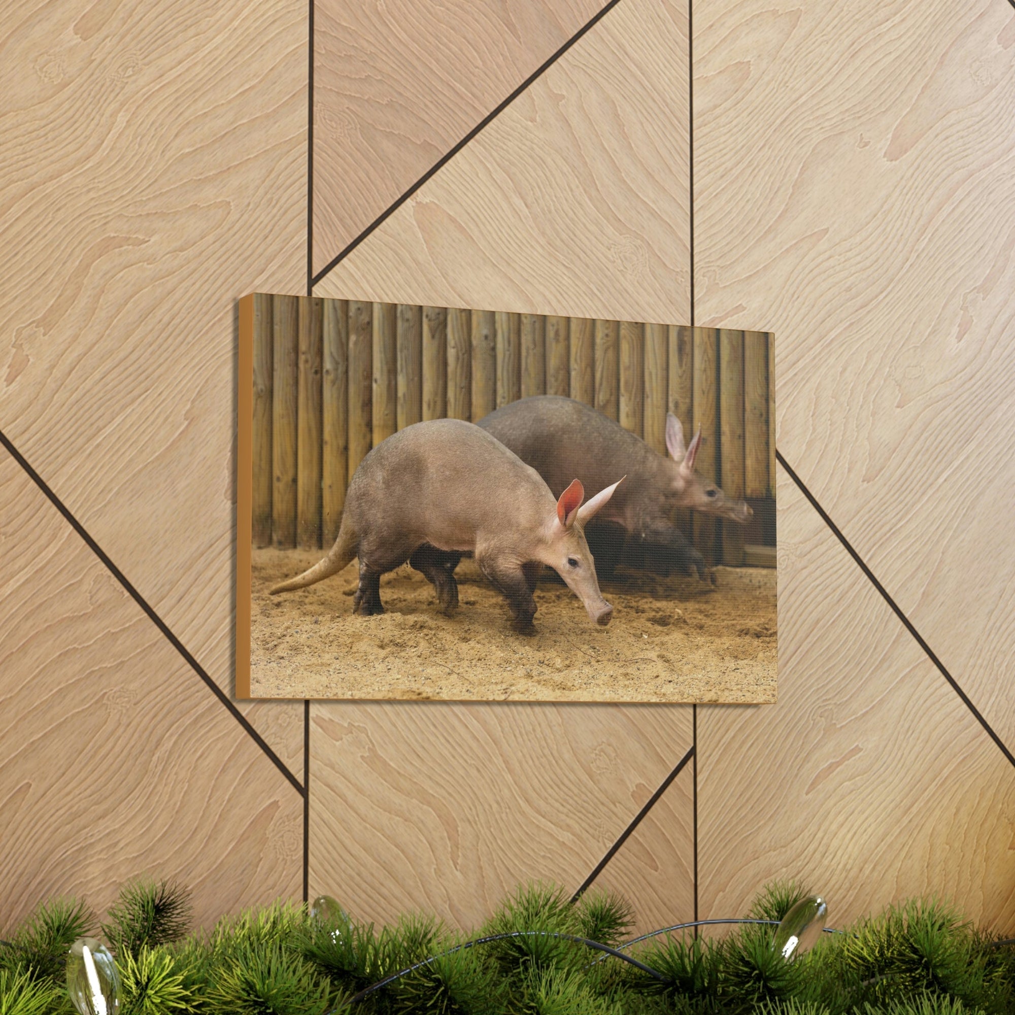 Funny Aardvark Silly Aardvark Couple Wall Art Ready to Hang Unframed-Express Your Love Gifts