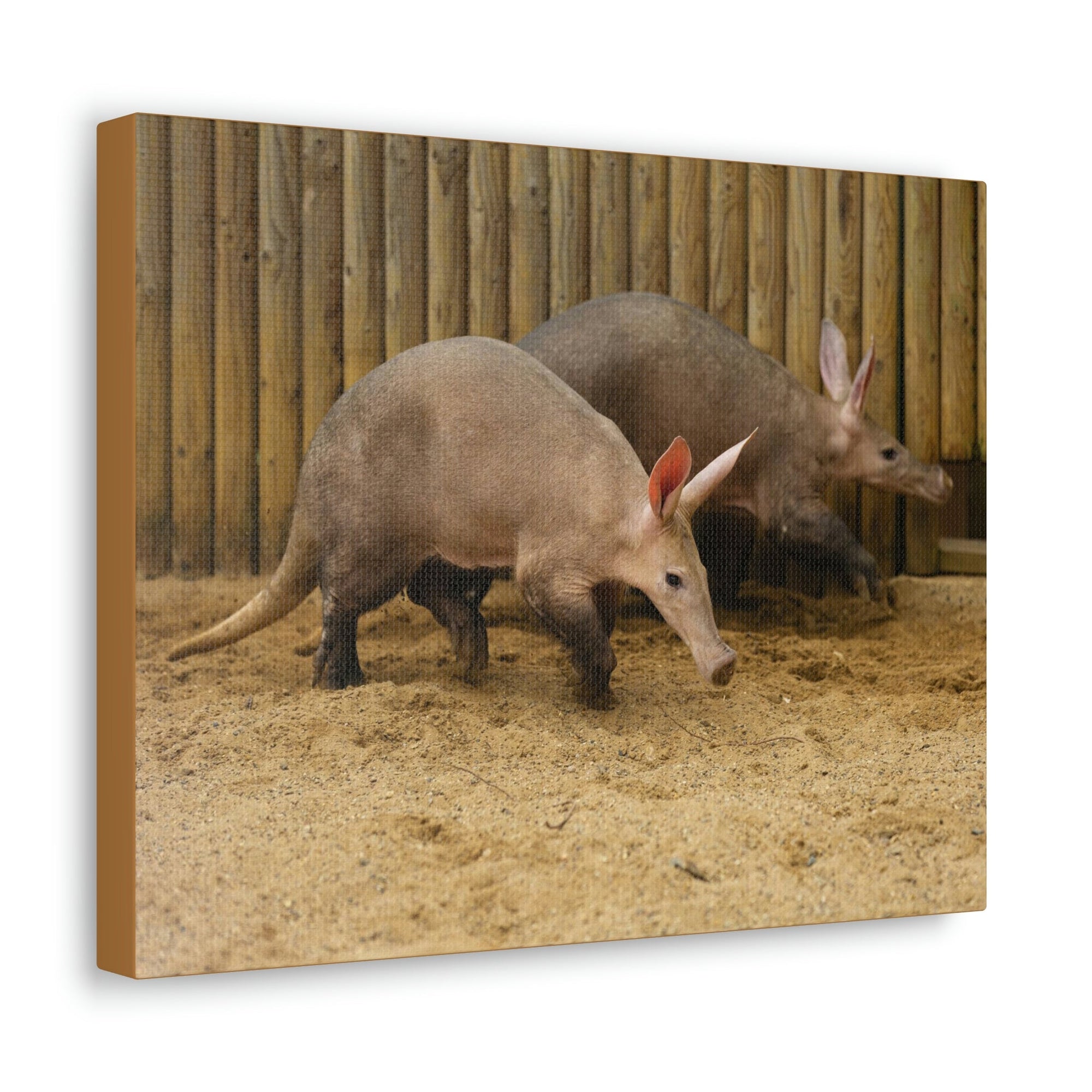 Funny Aardvark Silly Aardvark Couple Wall Art Ready to Hang Unframed-Express Your Love Gifts