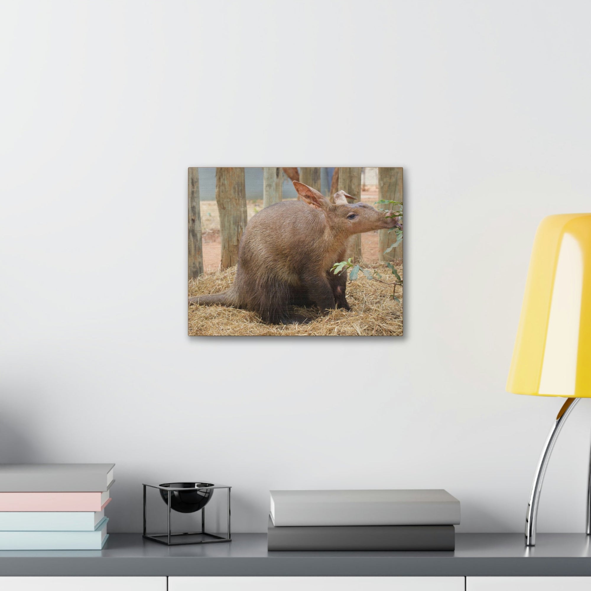 Funny Aardvark Silly Aardvark Outside Wall Art Ready to Hang Unframed-Express Your Love Gifts