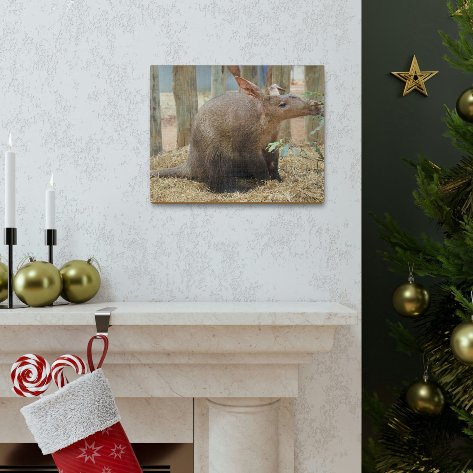 Funny Aardvark Silly Aardvark Outside Wall Art Ready to Hang Unframed-Express Your Love Gifts