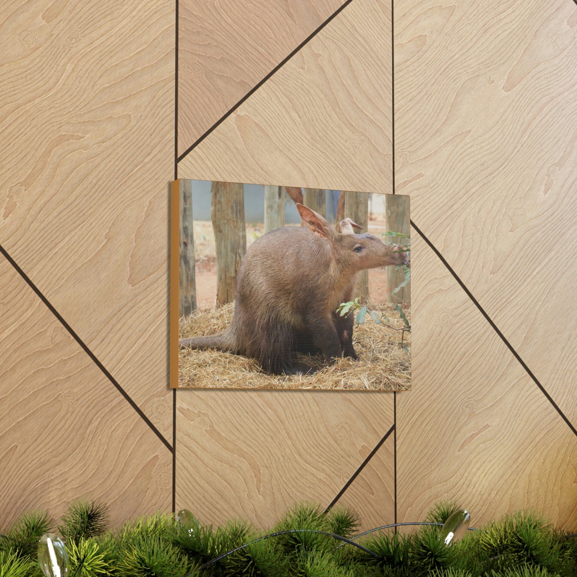 Funny Aardvark Silly Aardvark Outside Wall Art Ready to Hang Unframed-Express Your Love Gifts