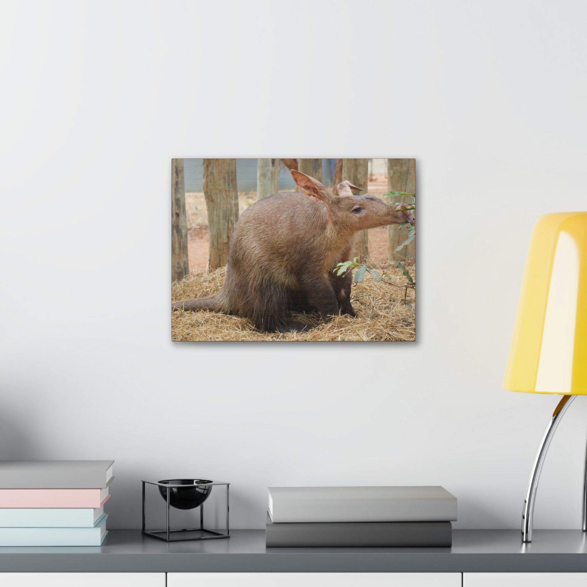 Funny Aardvark Silly Aardvark Outside Wall Art Ready to Hang Unframed-Express Your Love Gifts