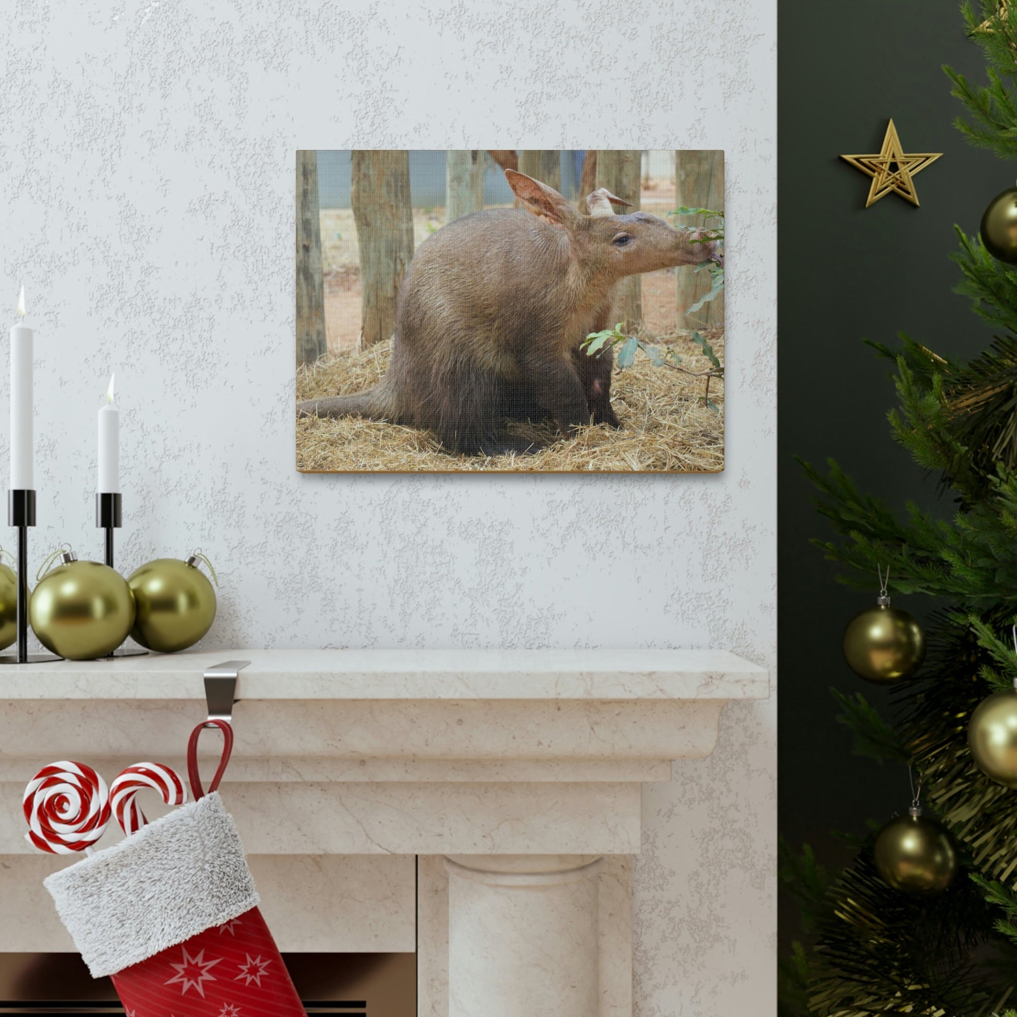 Funny Aardvark Silly Aardvark Outside Wall Art Ready to Hang Unframed-Express Your Love Gifts