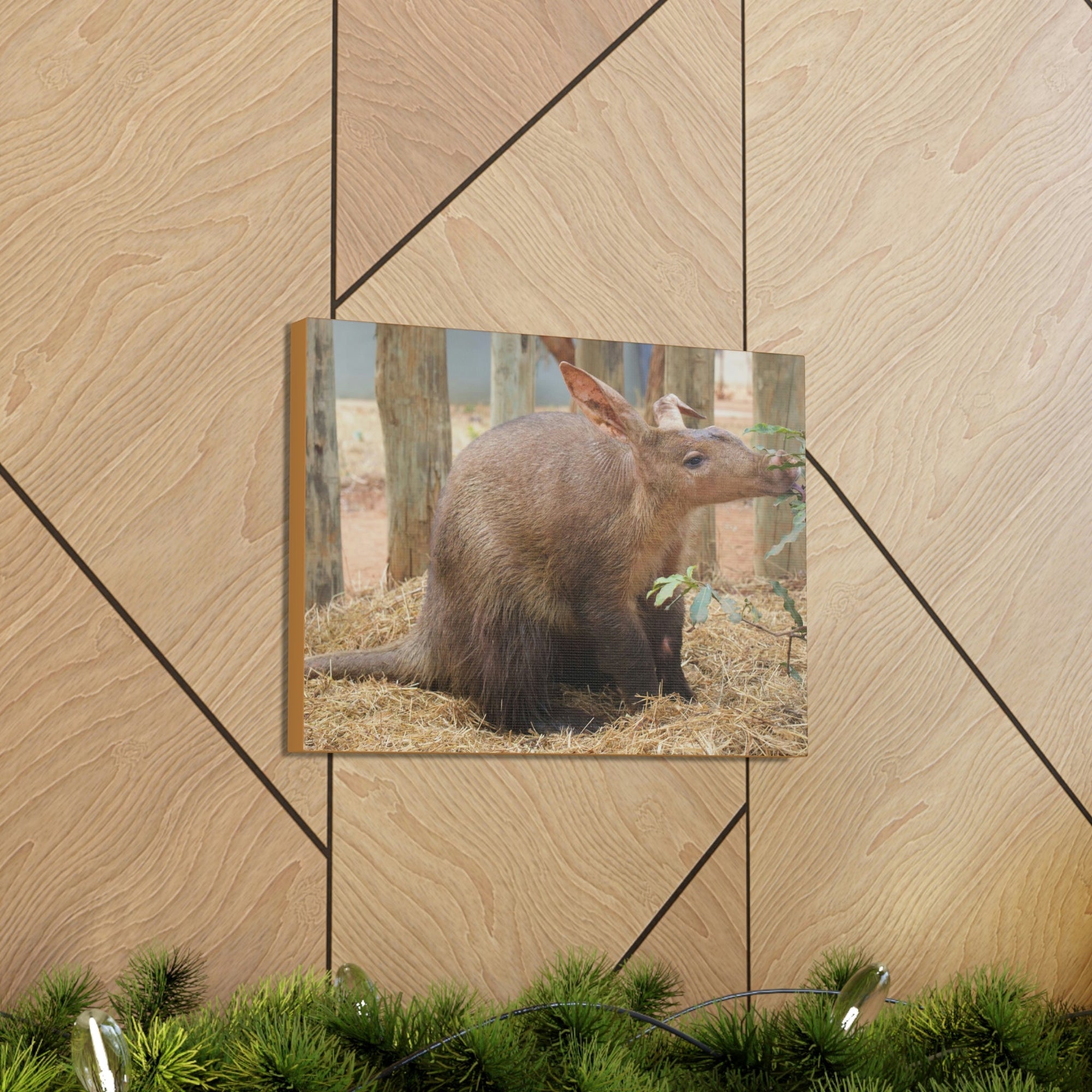 Funny Aardvark Silly Aardvark Outside Wall Art Ready to Hang Unframed-Express Your Love Gifts