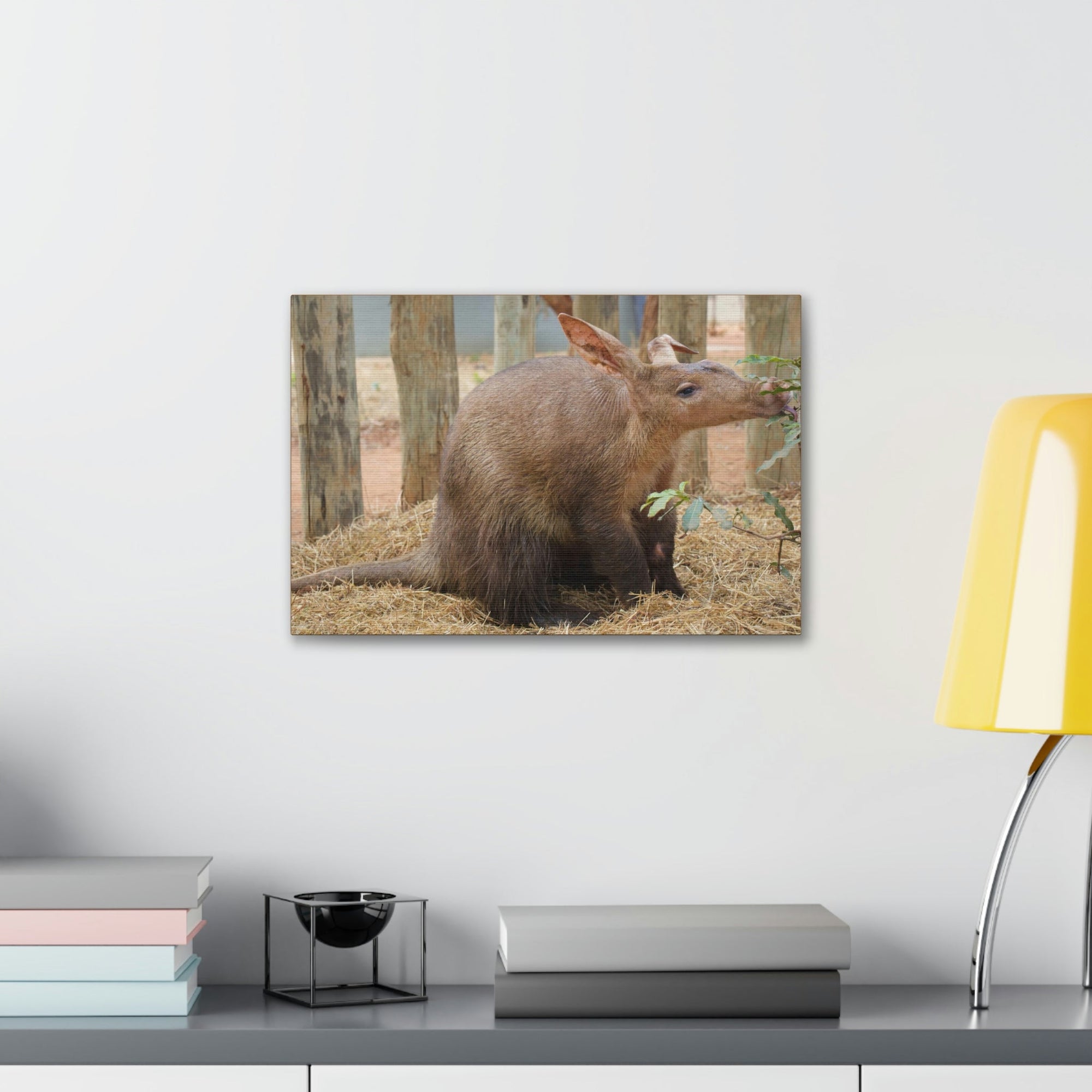 Funny Aardvark Silly Aardvark Outside Wall Art Ready to Hang Unframed-Express Your Love Gifts