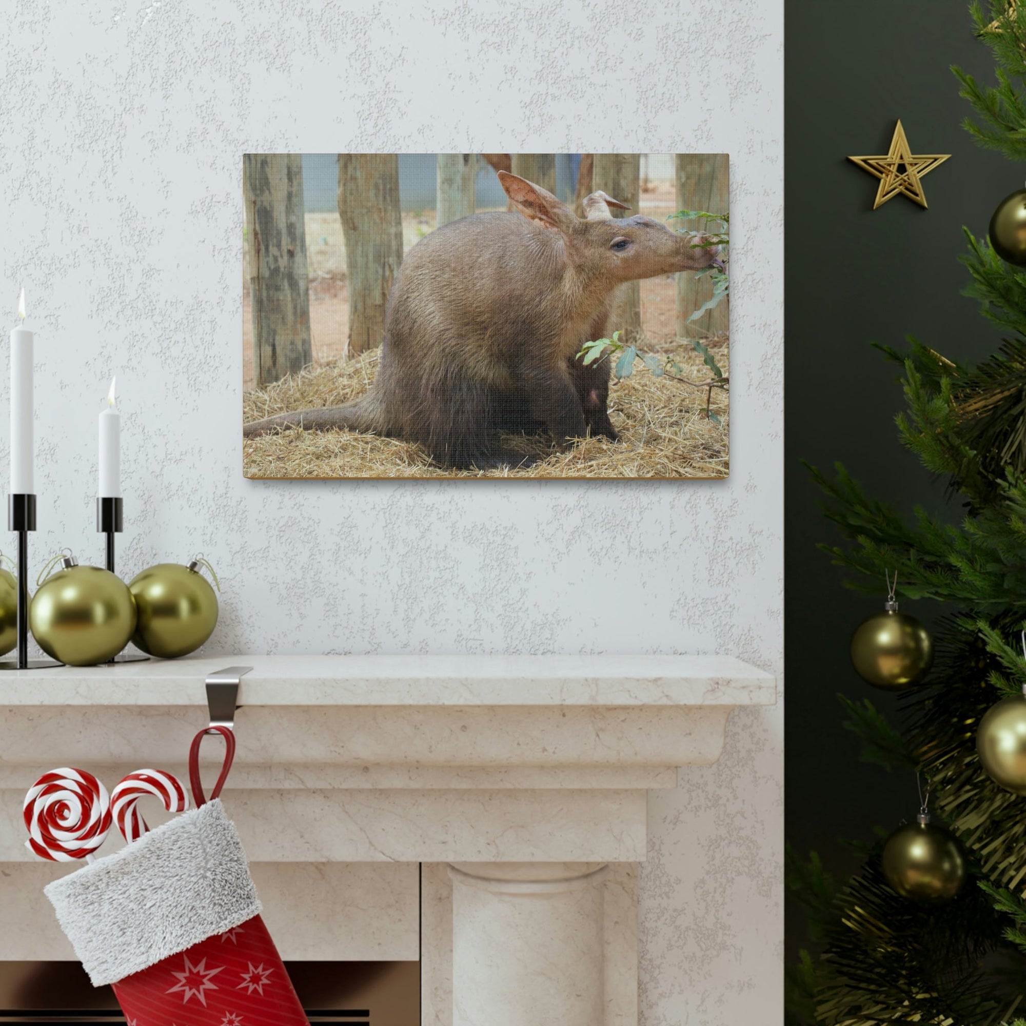 Funny Aardvark Silly Aardvark Outside Wall Art Ready to Hang Unframed-Express Your Love Gifts