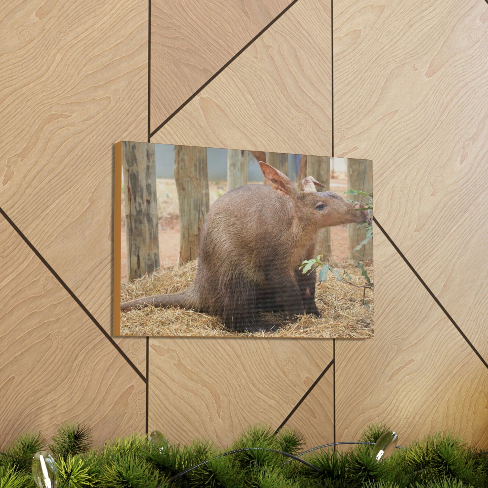 Funny Aardvark Silly Aardvark Outside Wall Art Ready to Hang Unframed-Express Your Love Gifts