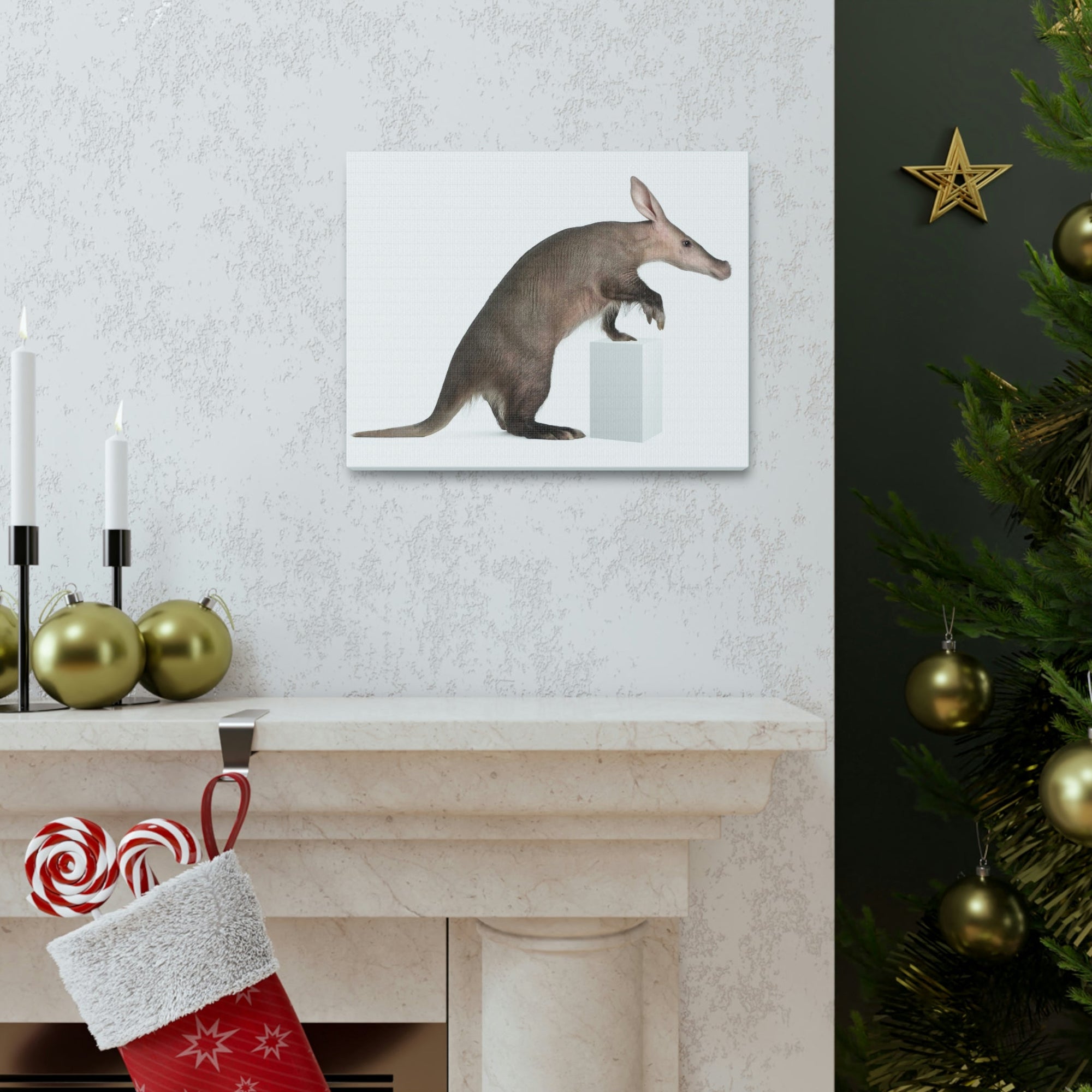 Funny Aardvark Silly Funny Aardvark Inside Wall Art Ready to Hang Unframed-Express Your Love Gifts