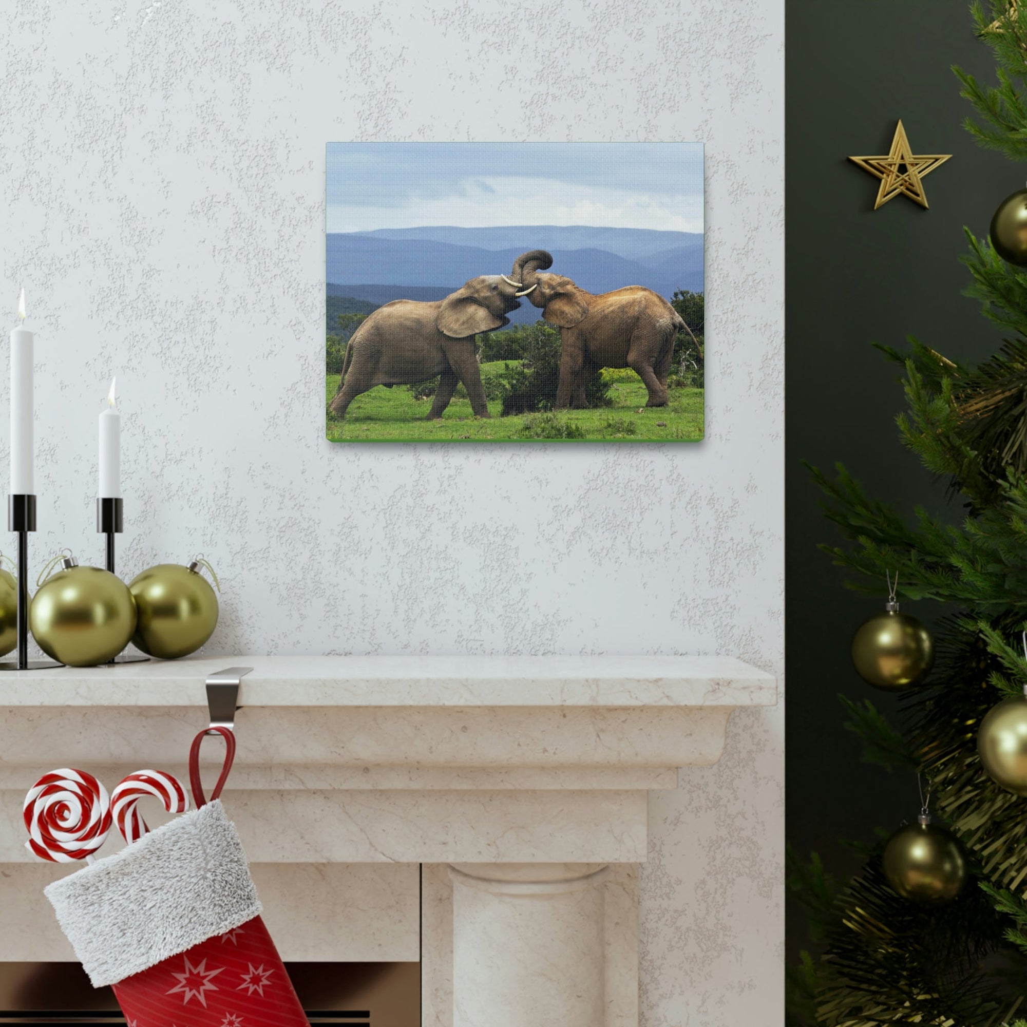 Funny African Elephant Silly African Elephant Couple Wall Art Ready to Hang Unframed-Express Your Love Gifts